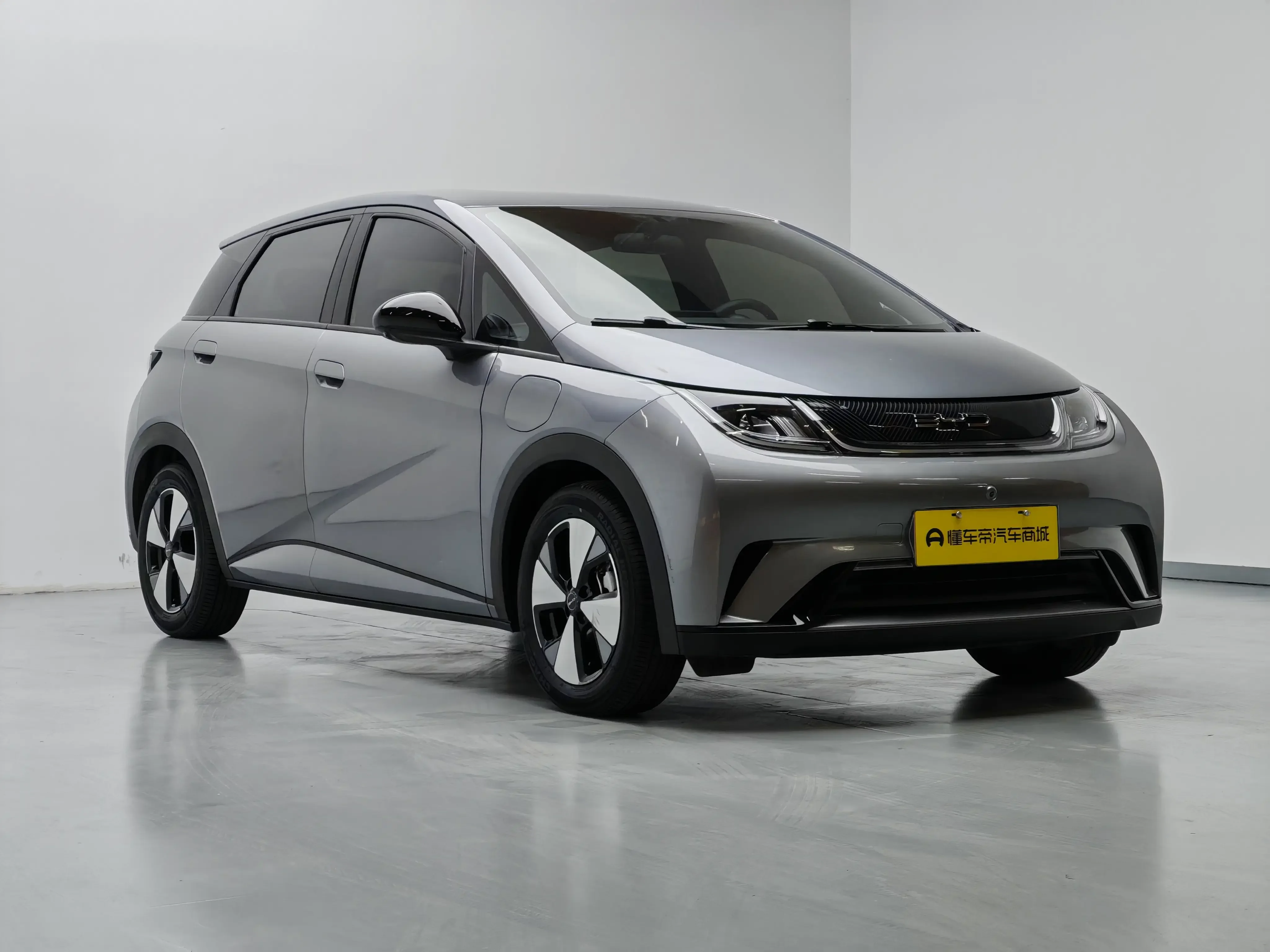 BYD dolphin