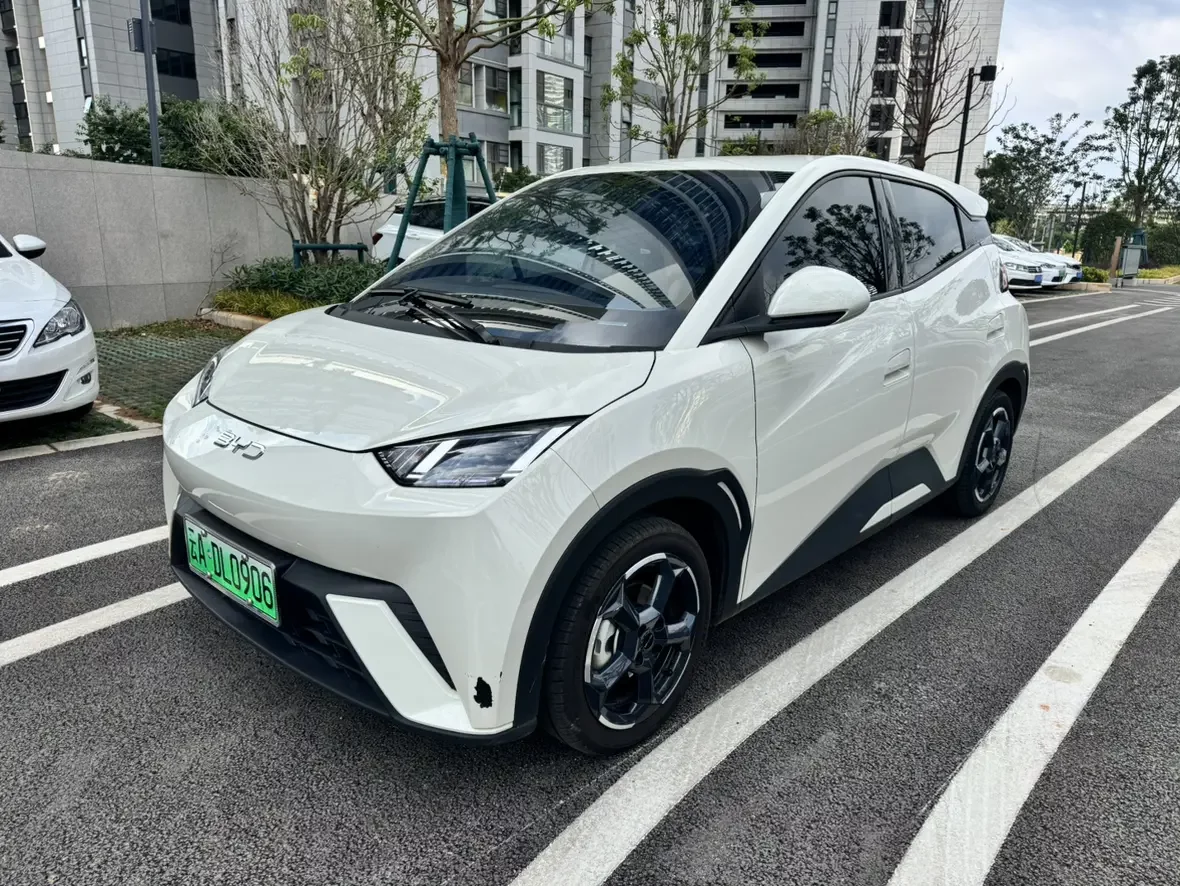 BYD seagull