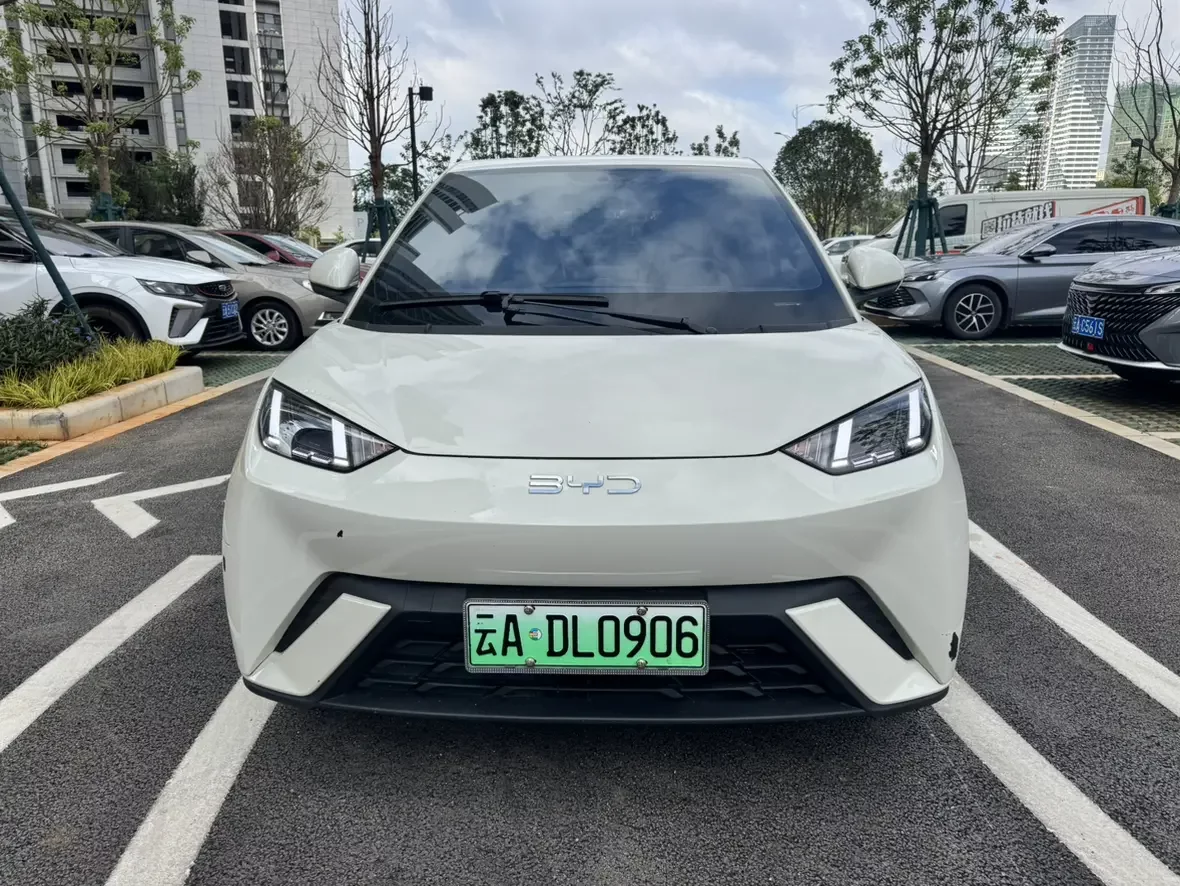 BYD seagull