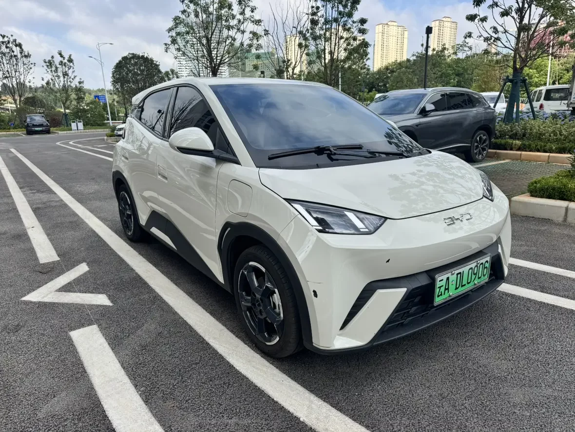 BYD seagull