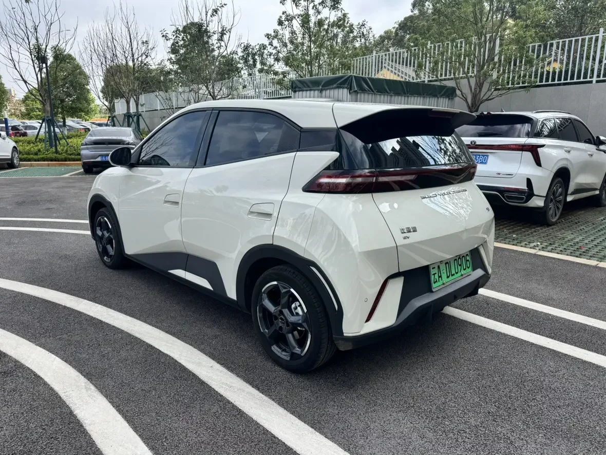 BYD seagull