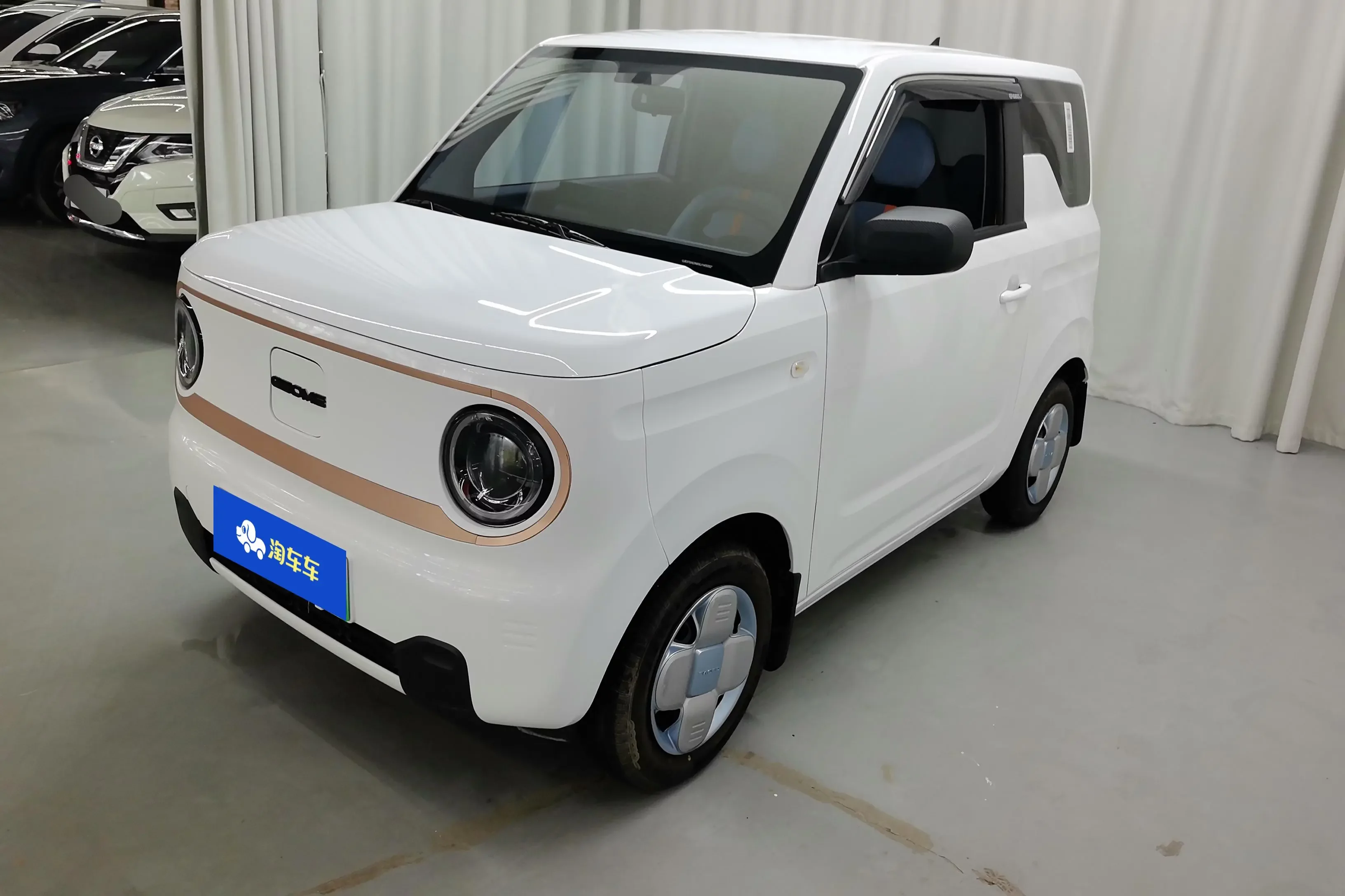 Geely panda