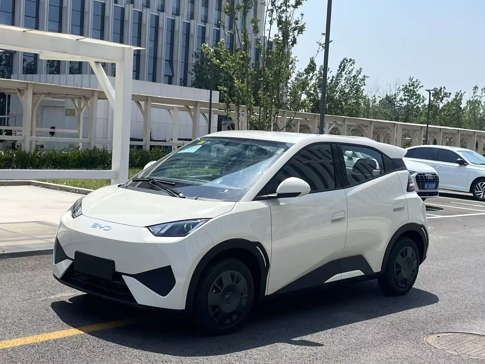 BYD seagull