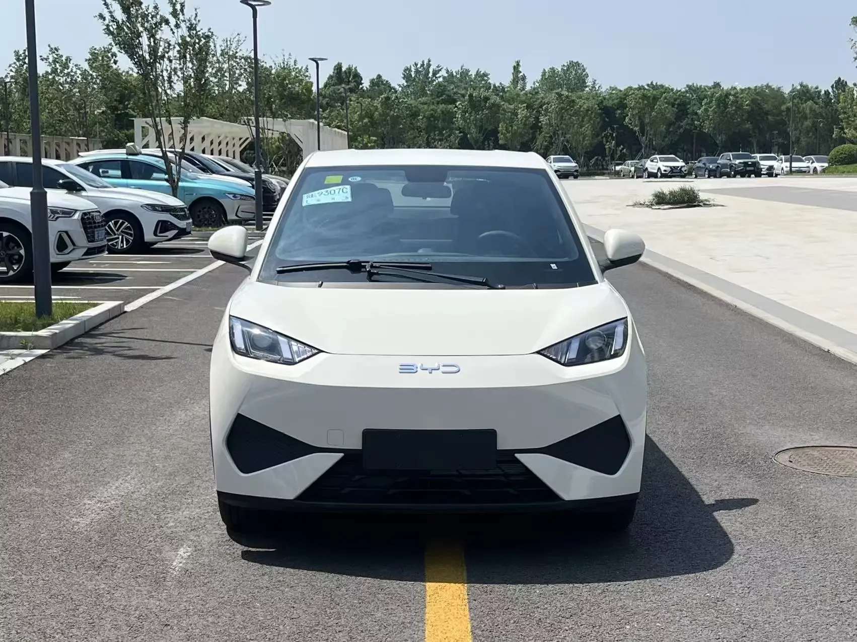 BYD seagull
