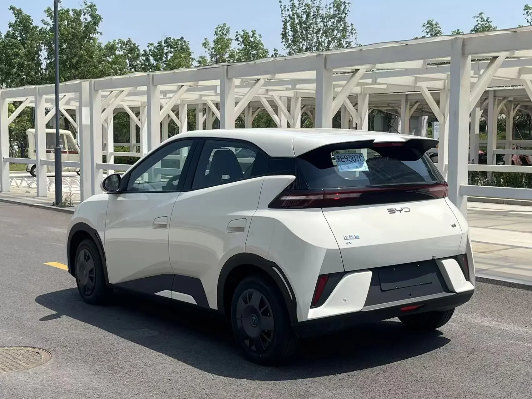 BYD seagull