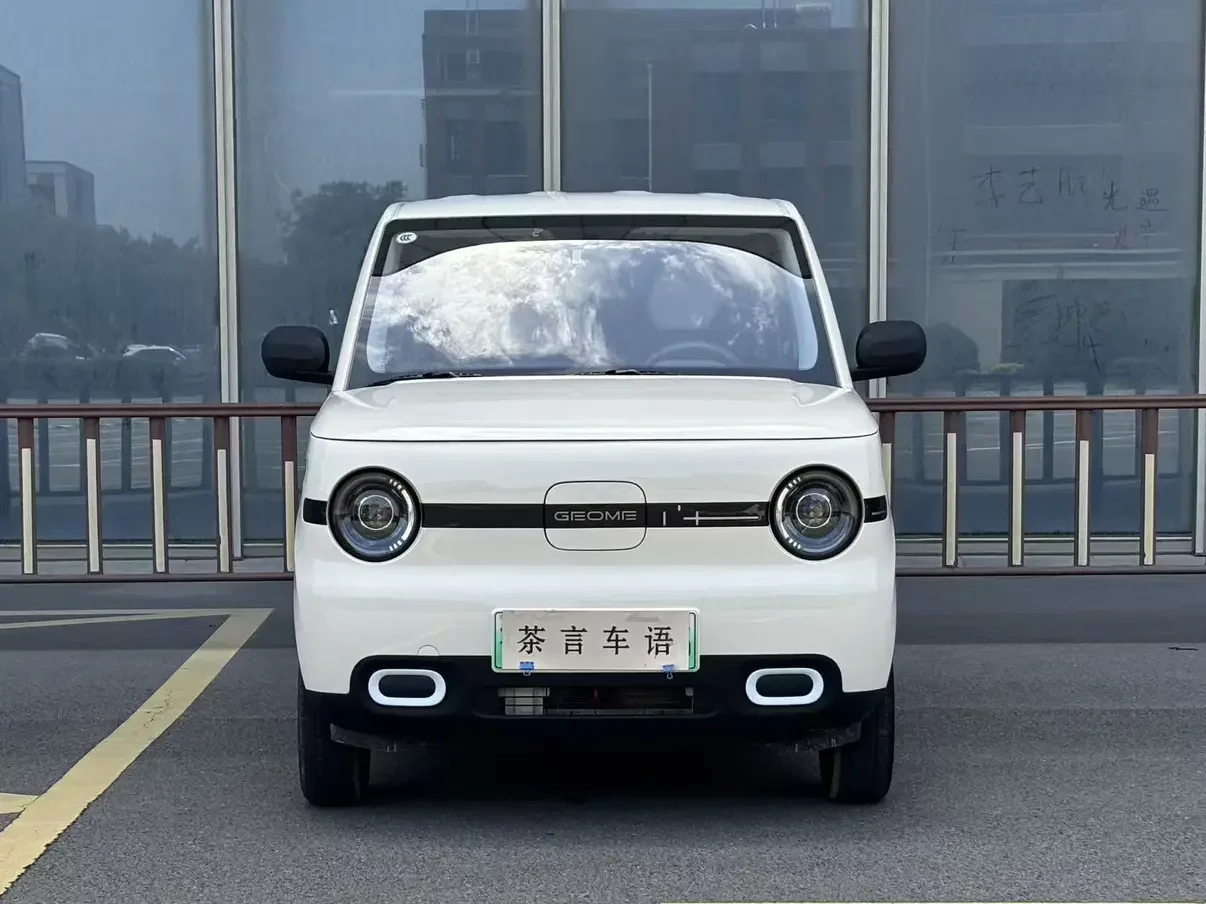 Geely panda