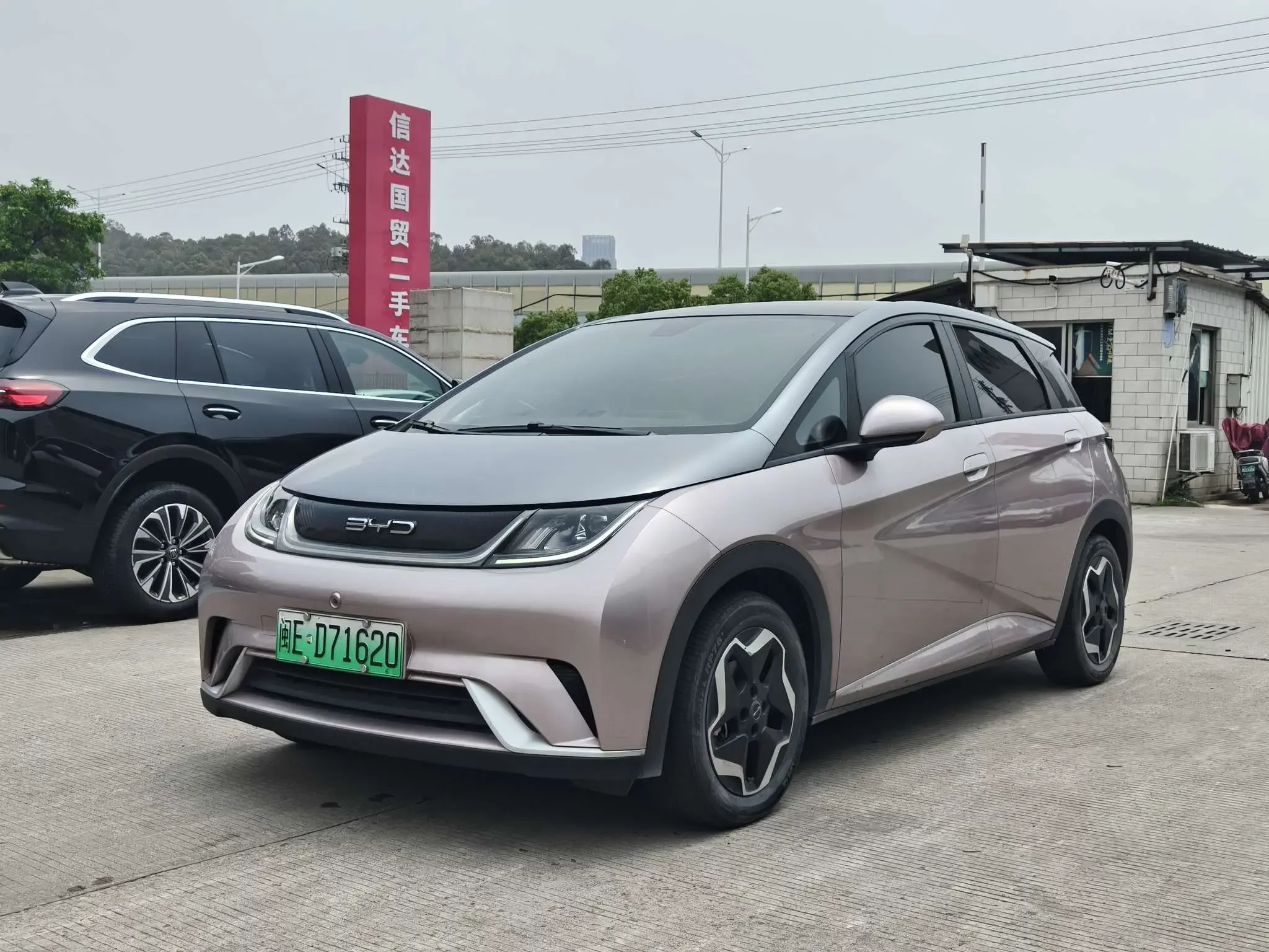 BYD dolphin