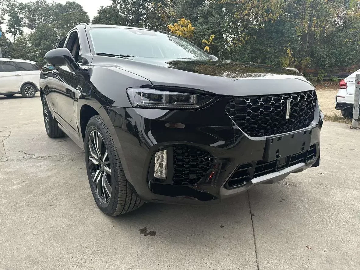 Wey Wei brand VV7