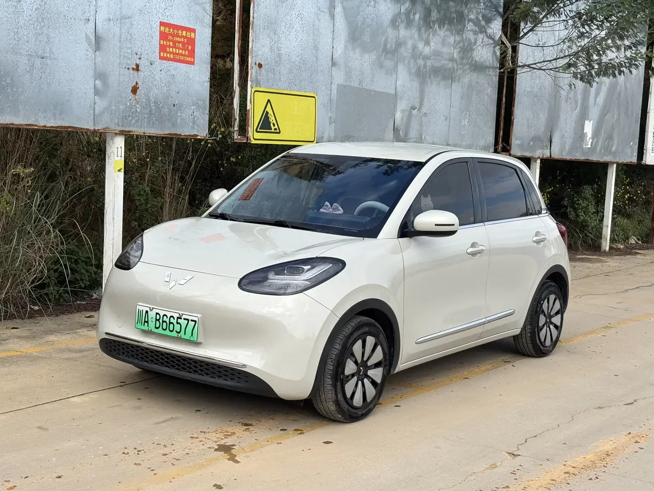 Wuling Bingo