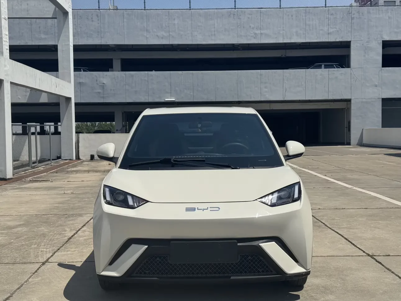 BYD seagull