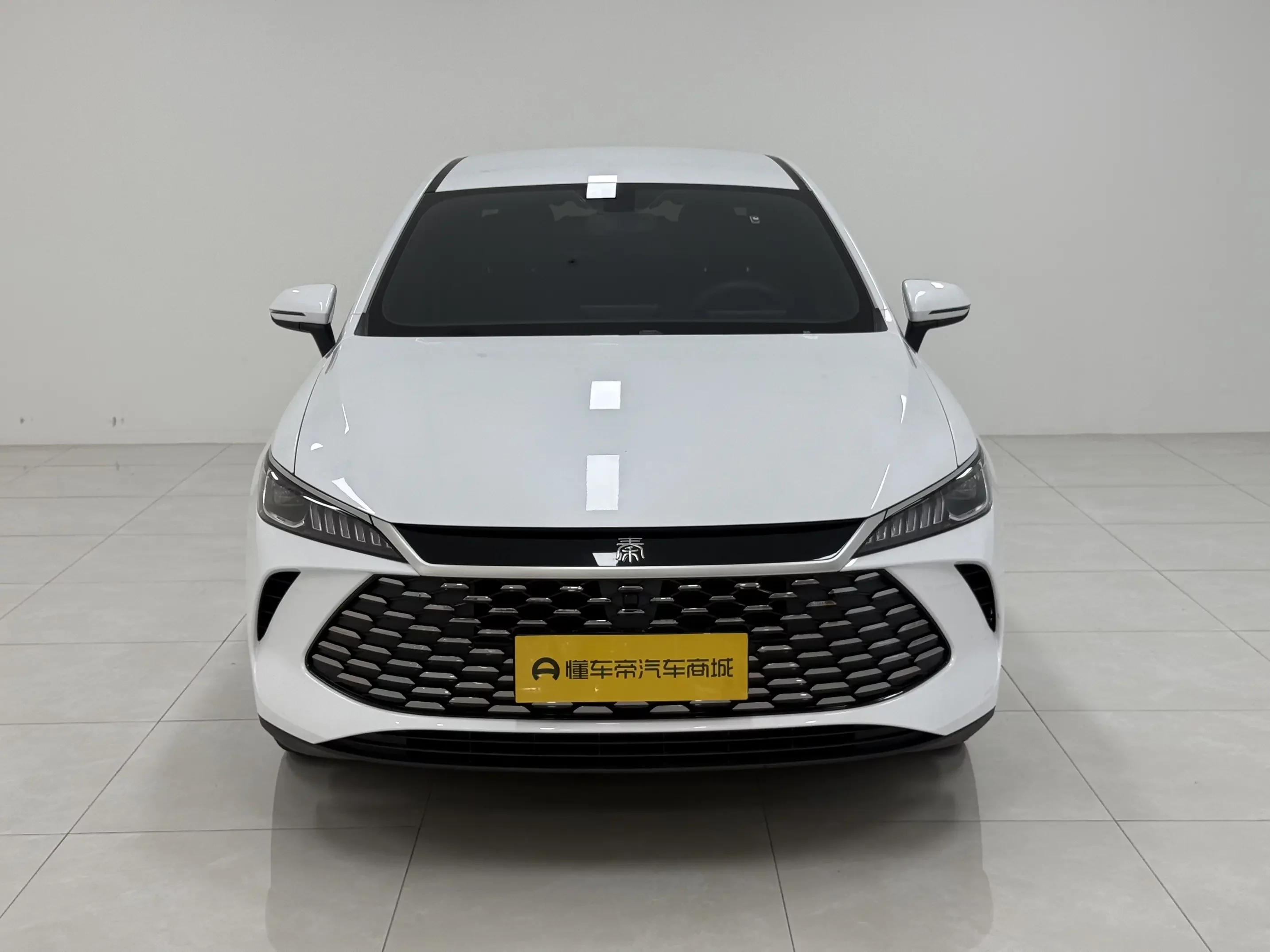 BYD Qin PLUS DM
