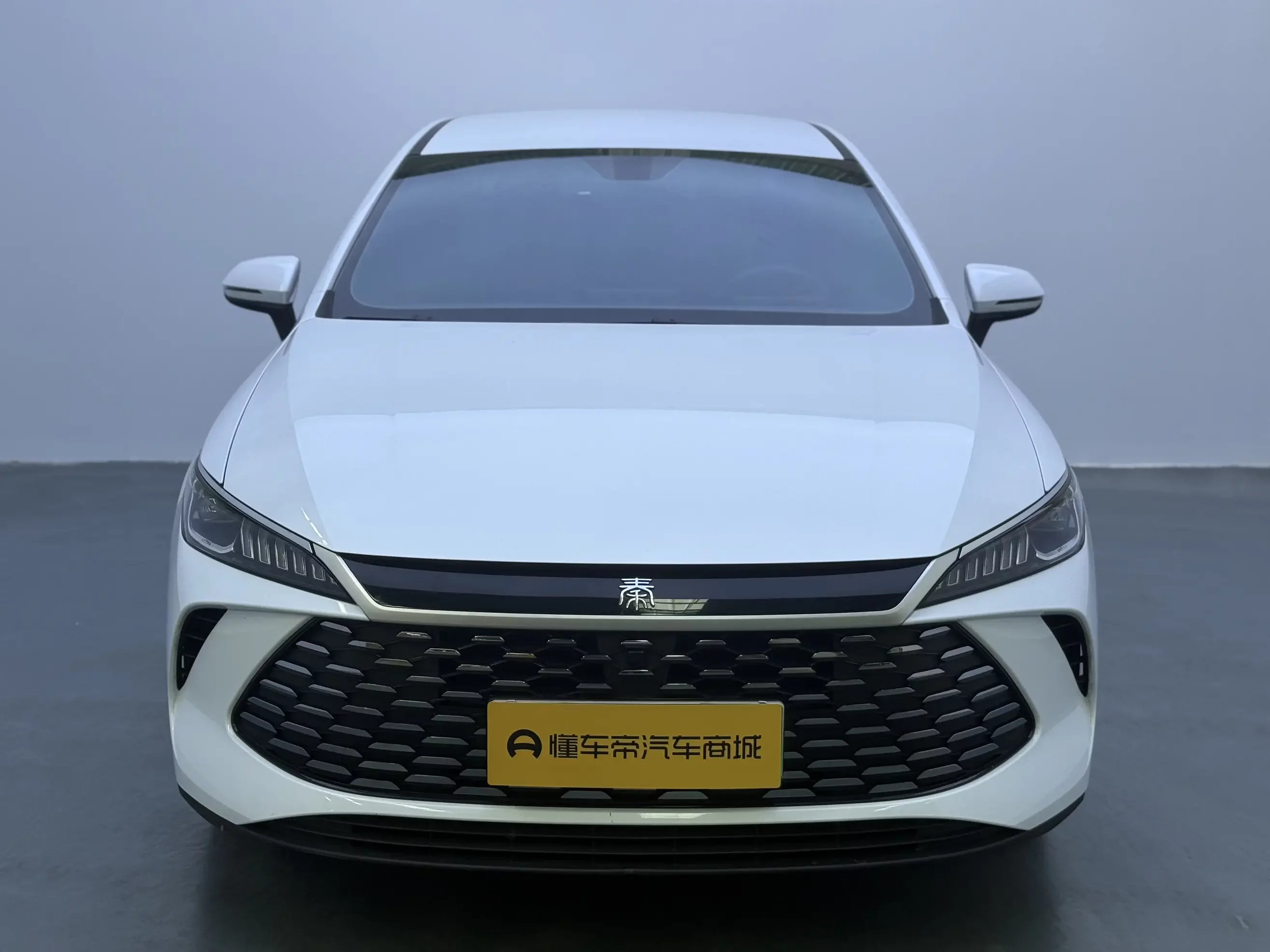 BYD Qin PLUS DM