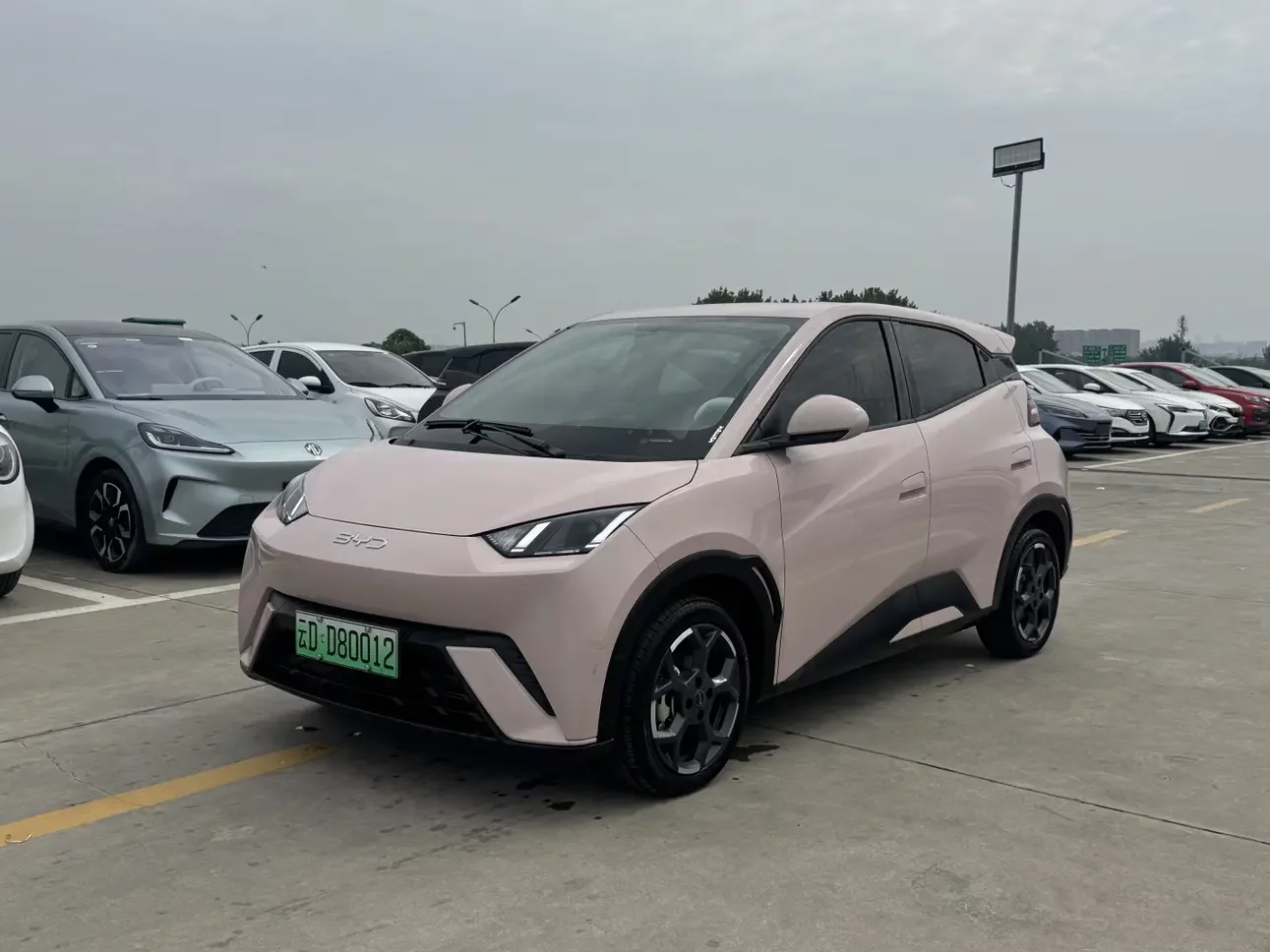 BYD seagull