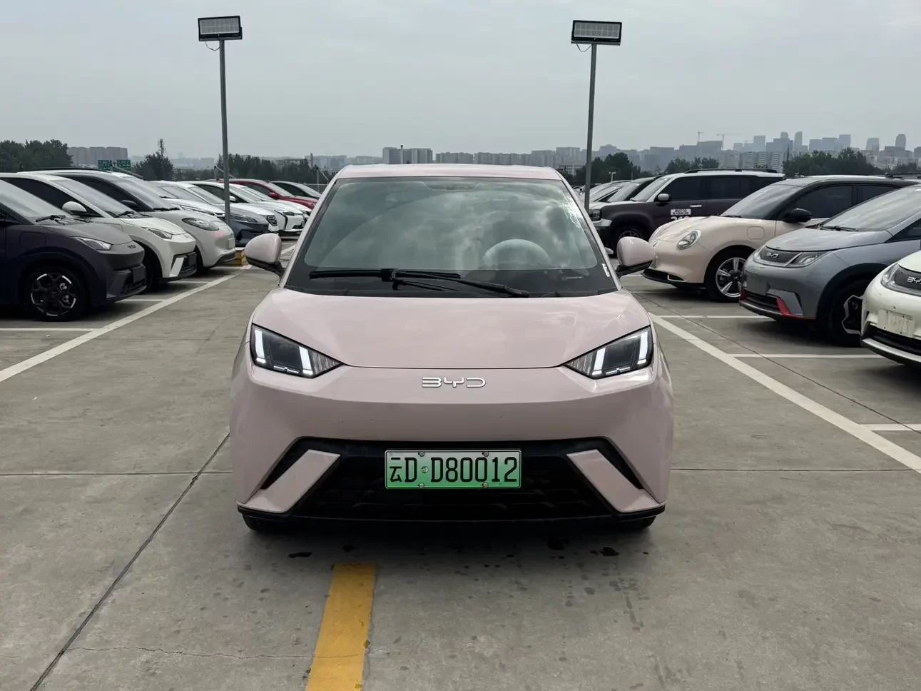 BYD seagull