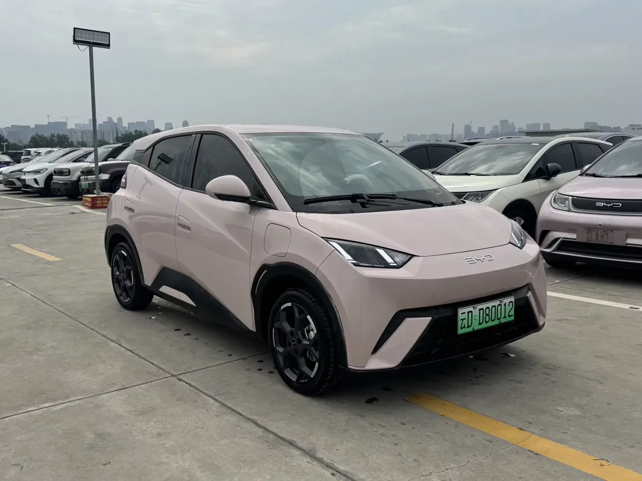 BYD seagull