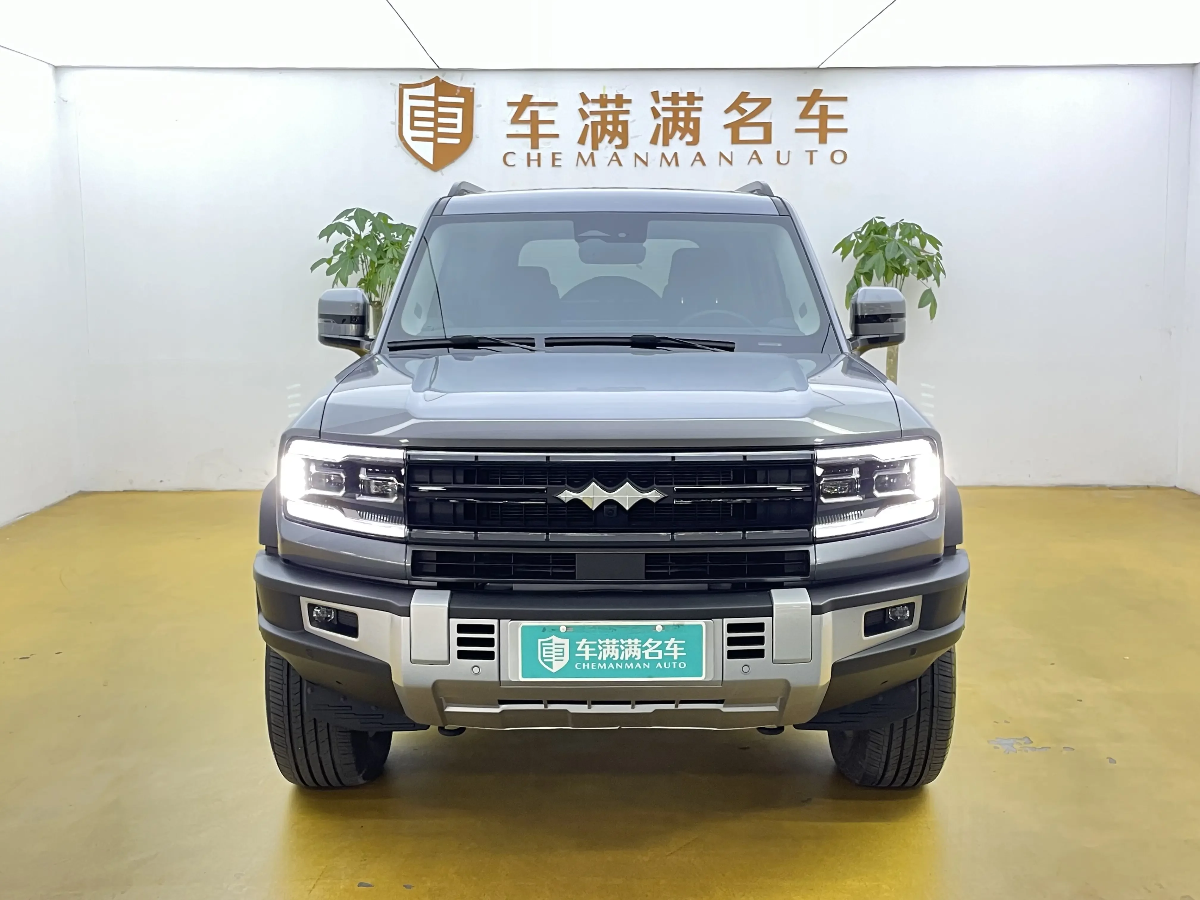 BYD Leopard Leopard 5
