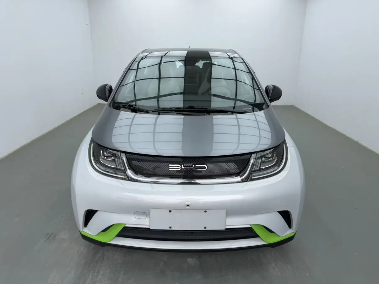 BYD dolphin