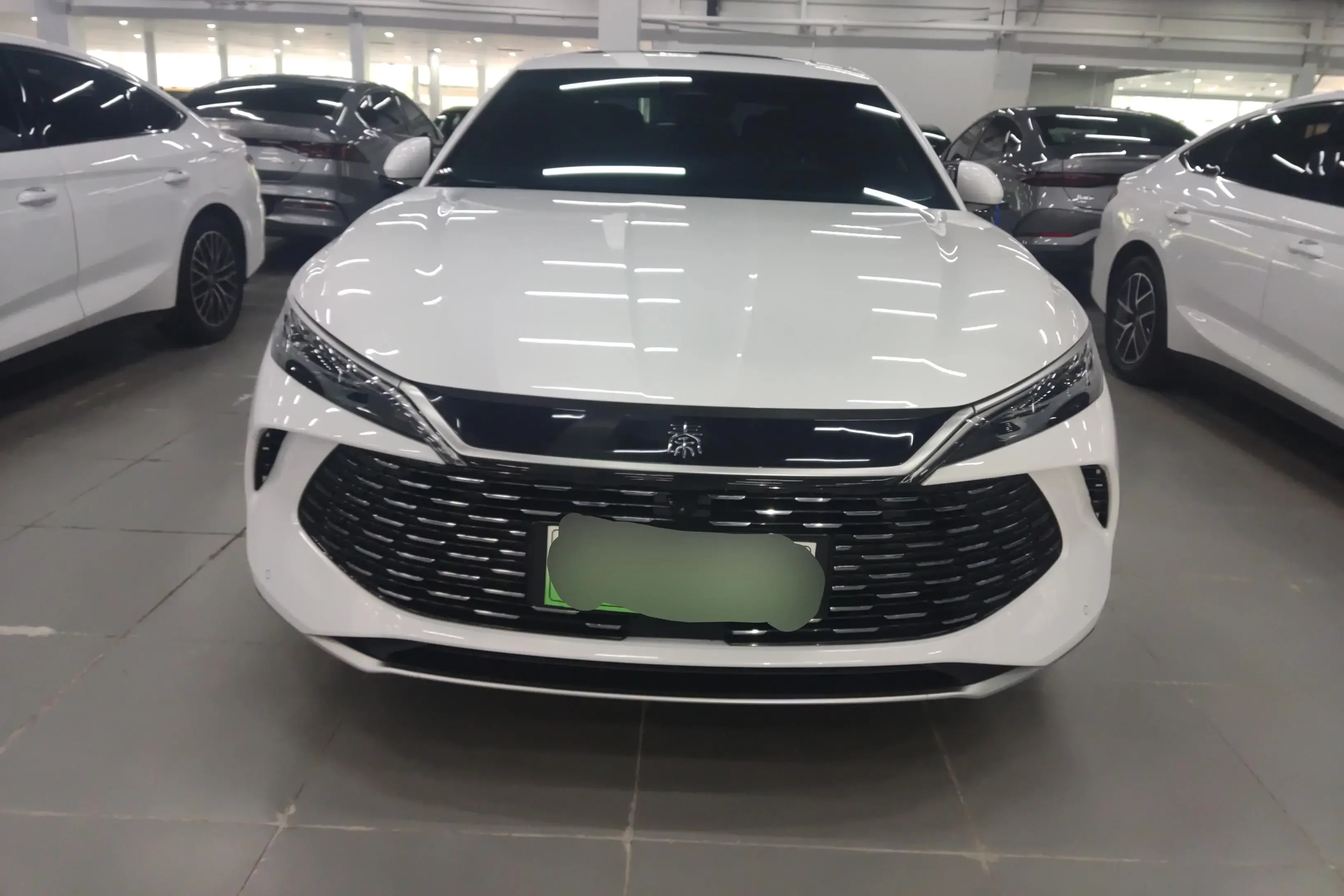 BYD Qin L DM