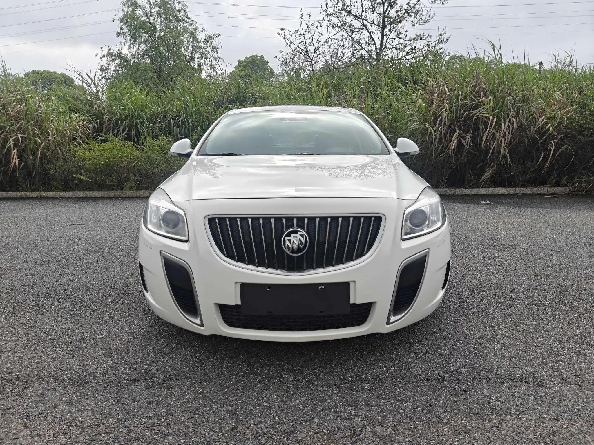 Buick Majesty