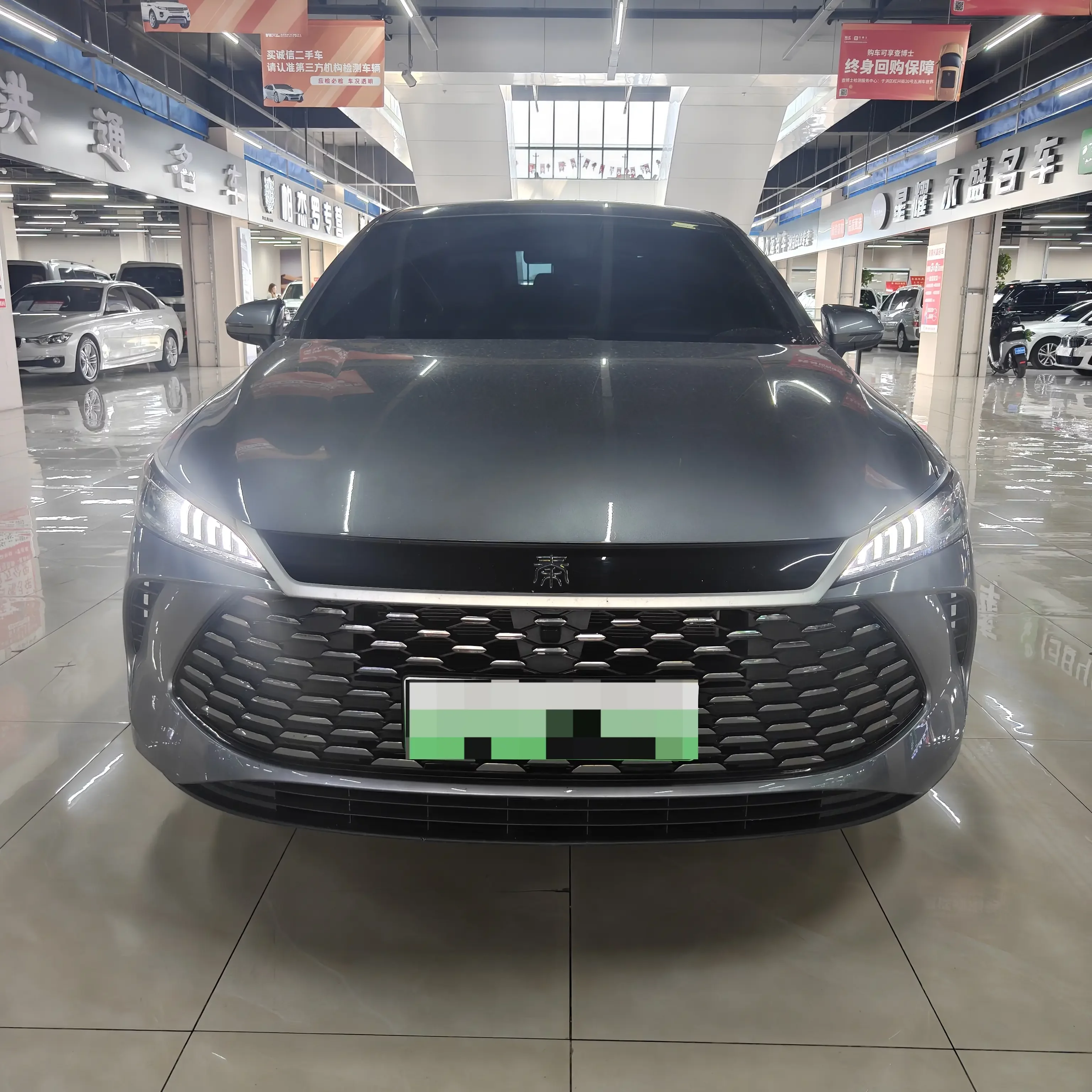 BYD Qin PLUS DM