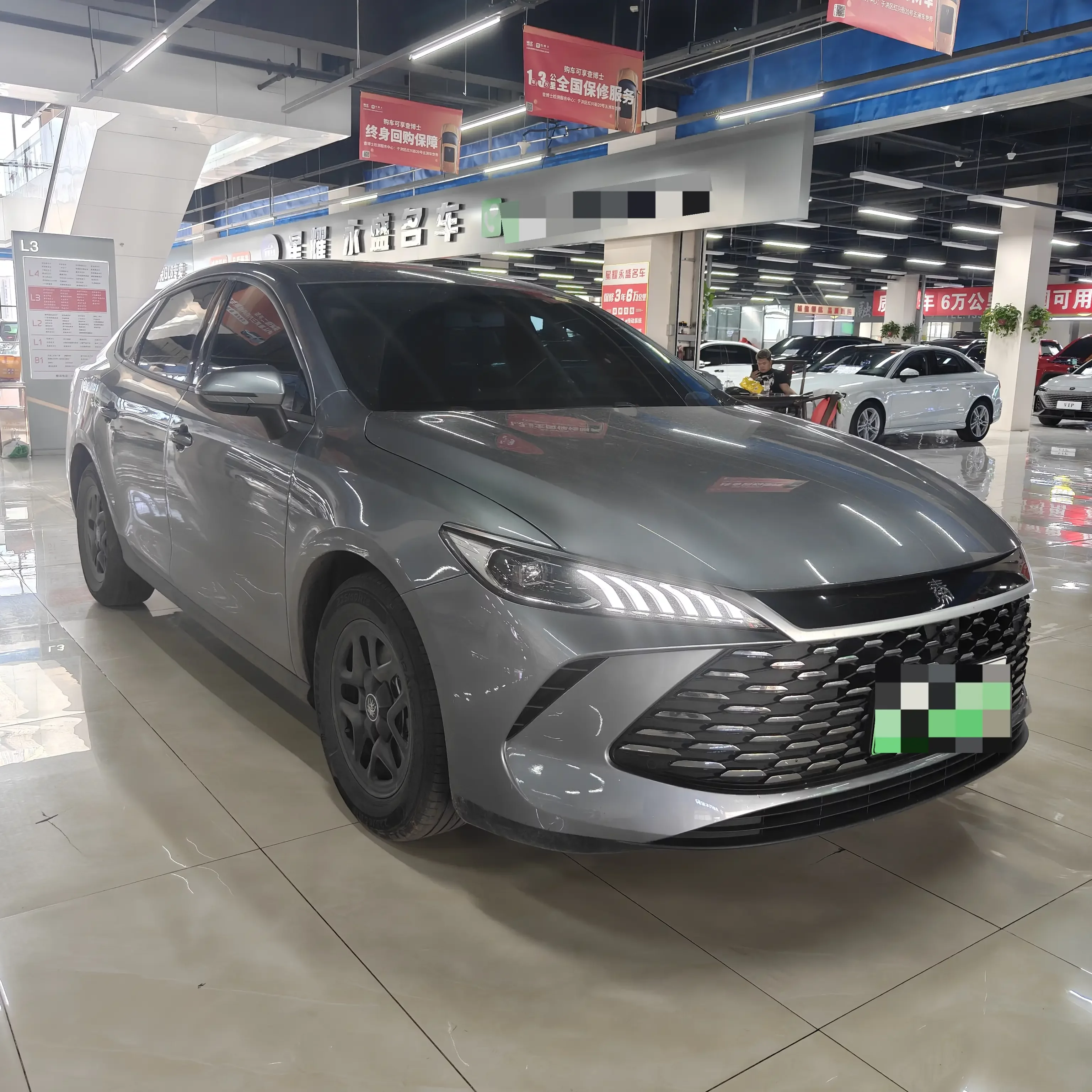 BYD Qin PLUS DM