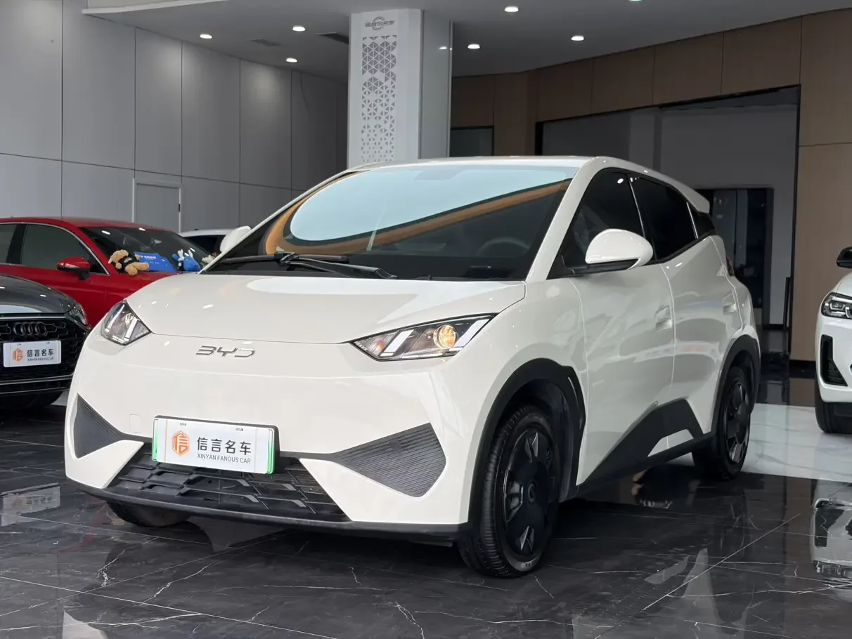 BYD seagull