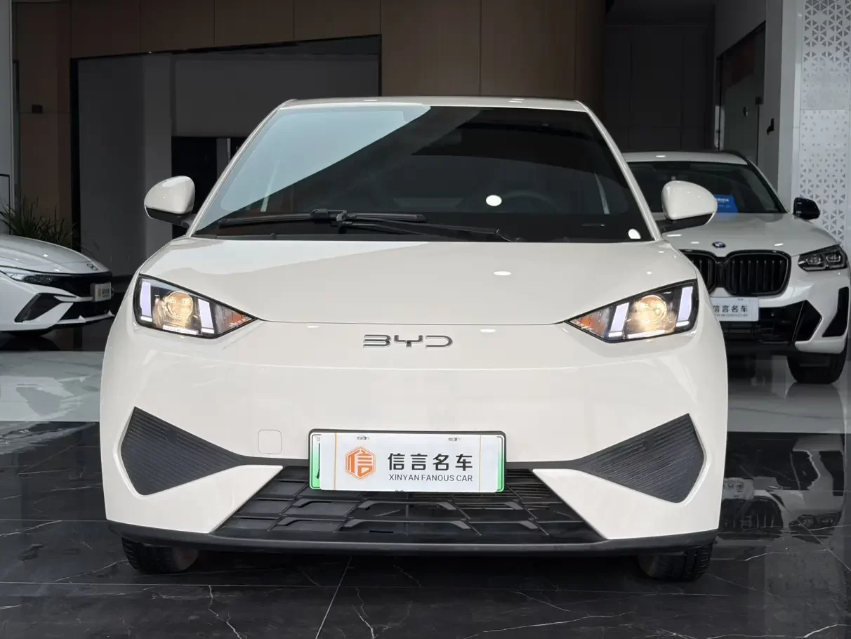 BYD seagull