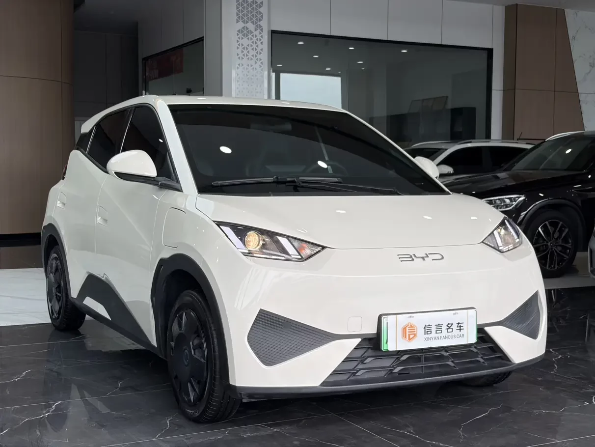 BYD seagull