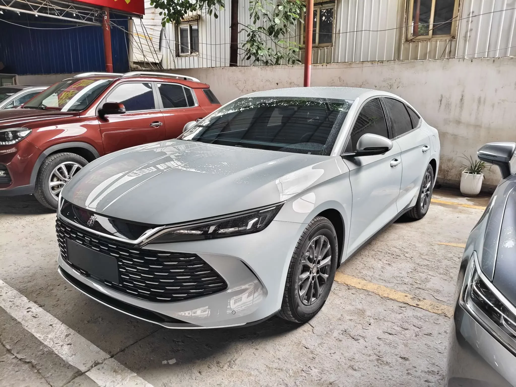 BYD Qin L DM