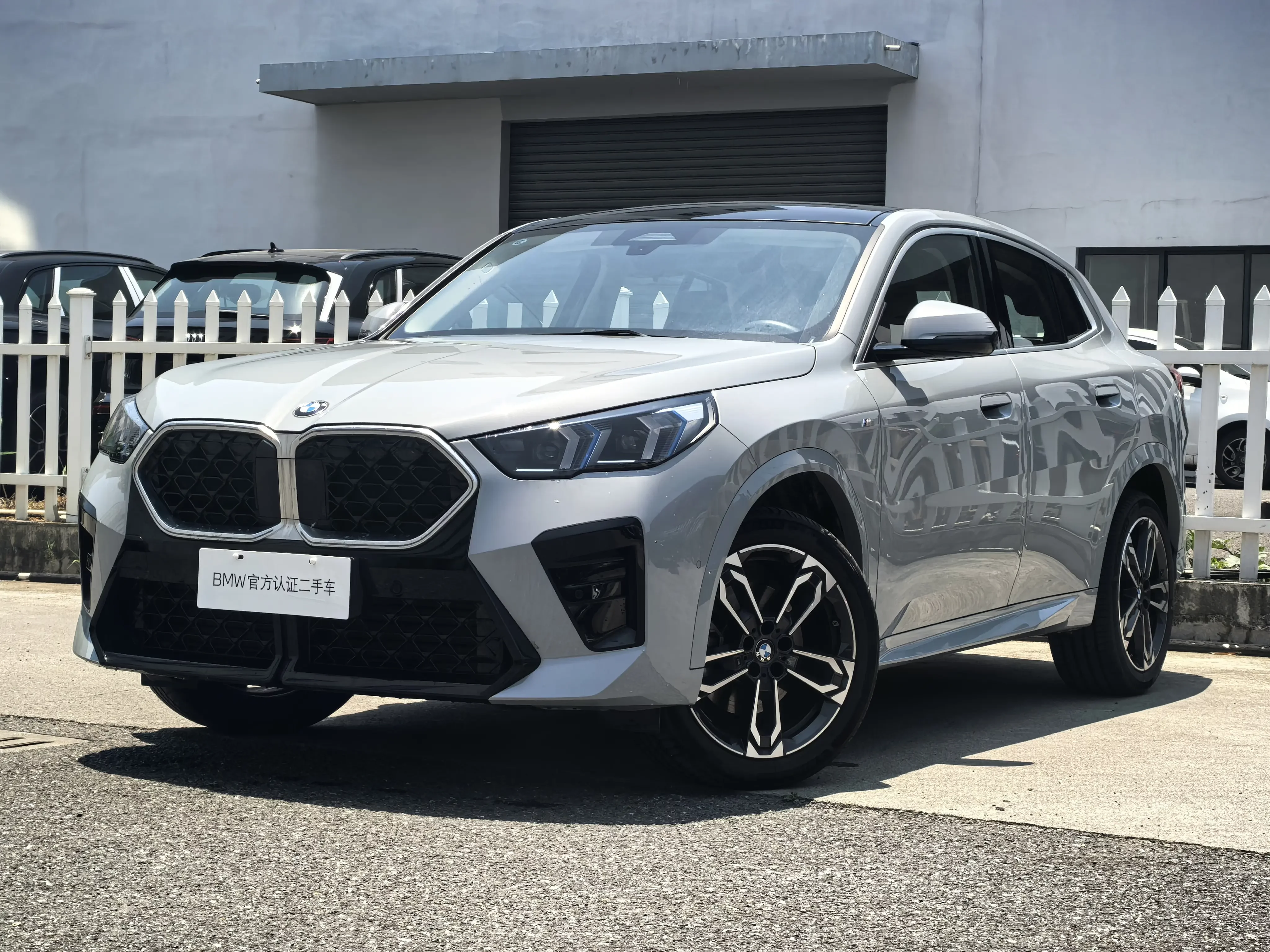 BMW X2