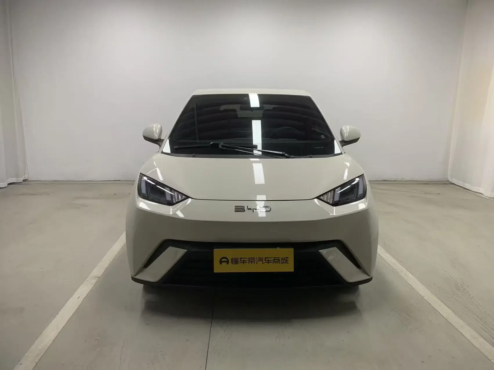 BYD seagull