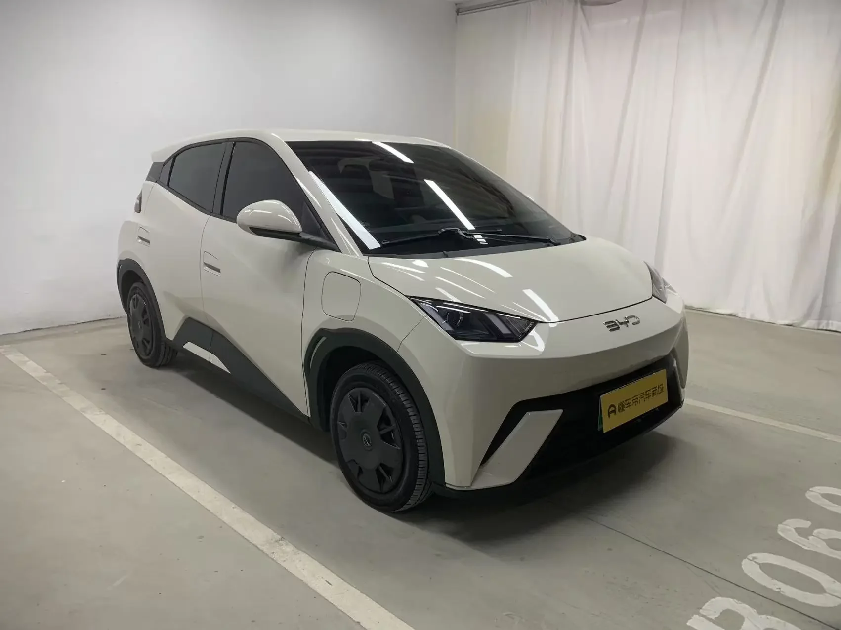 BYD seagull