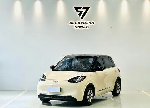 Wuling Bingo
