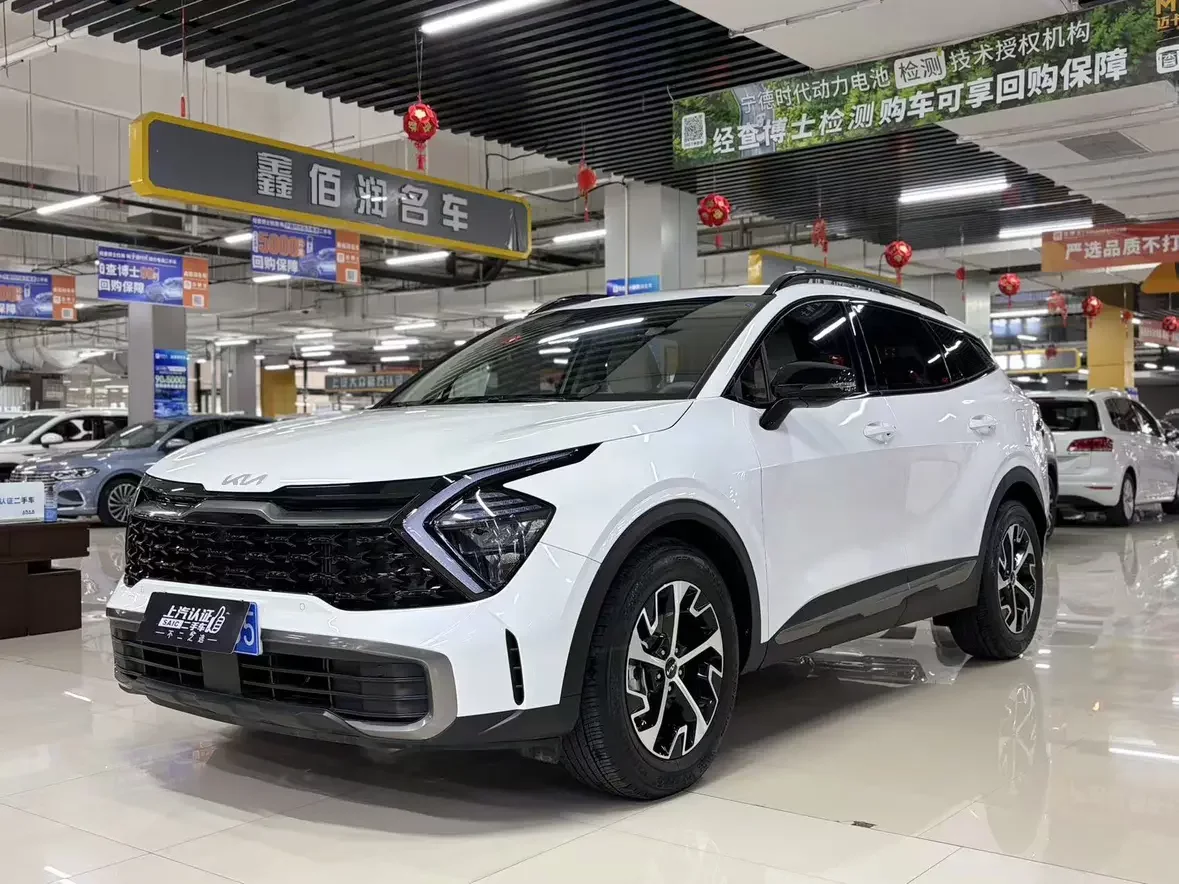 Kia Lion Platinum Expands the Boundary