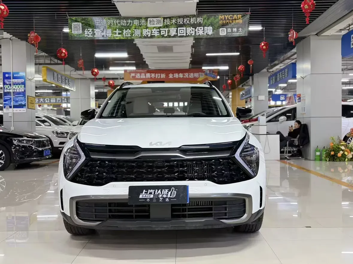 Kia Lion Platinum Expands the Boundary