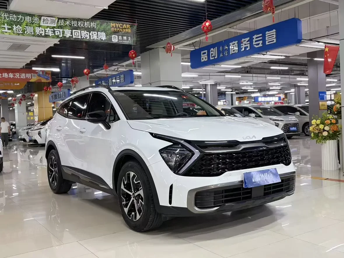 Kia Lion Platinum Expands the Boundary