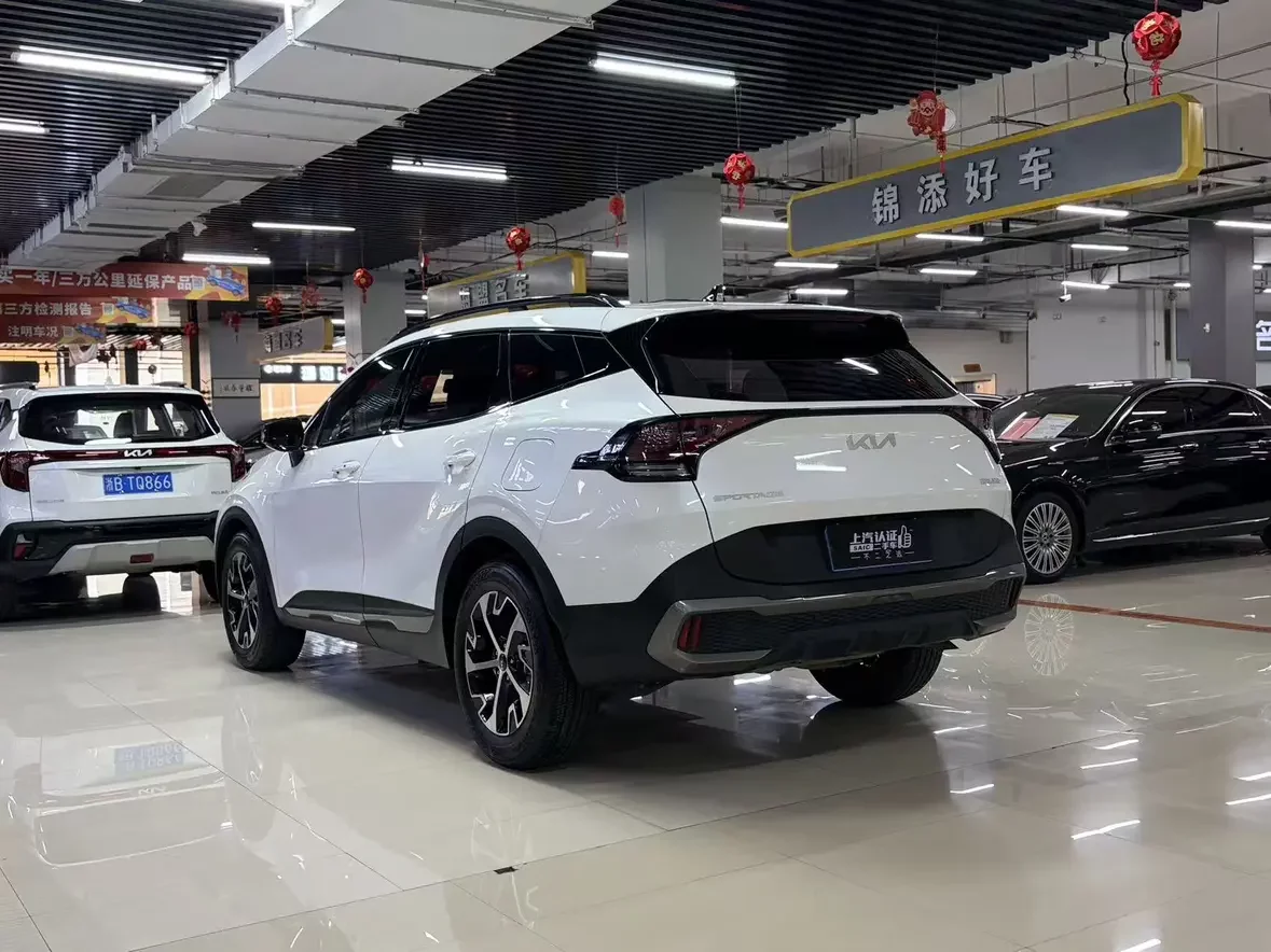 Kia Lion Platinum Expands the Boundary