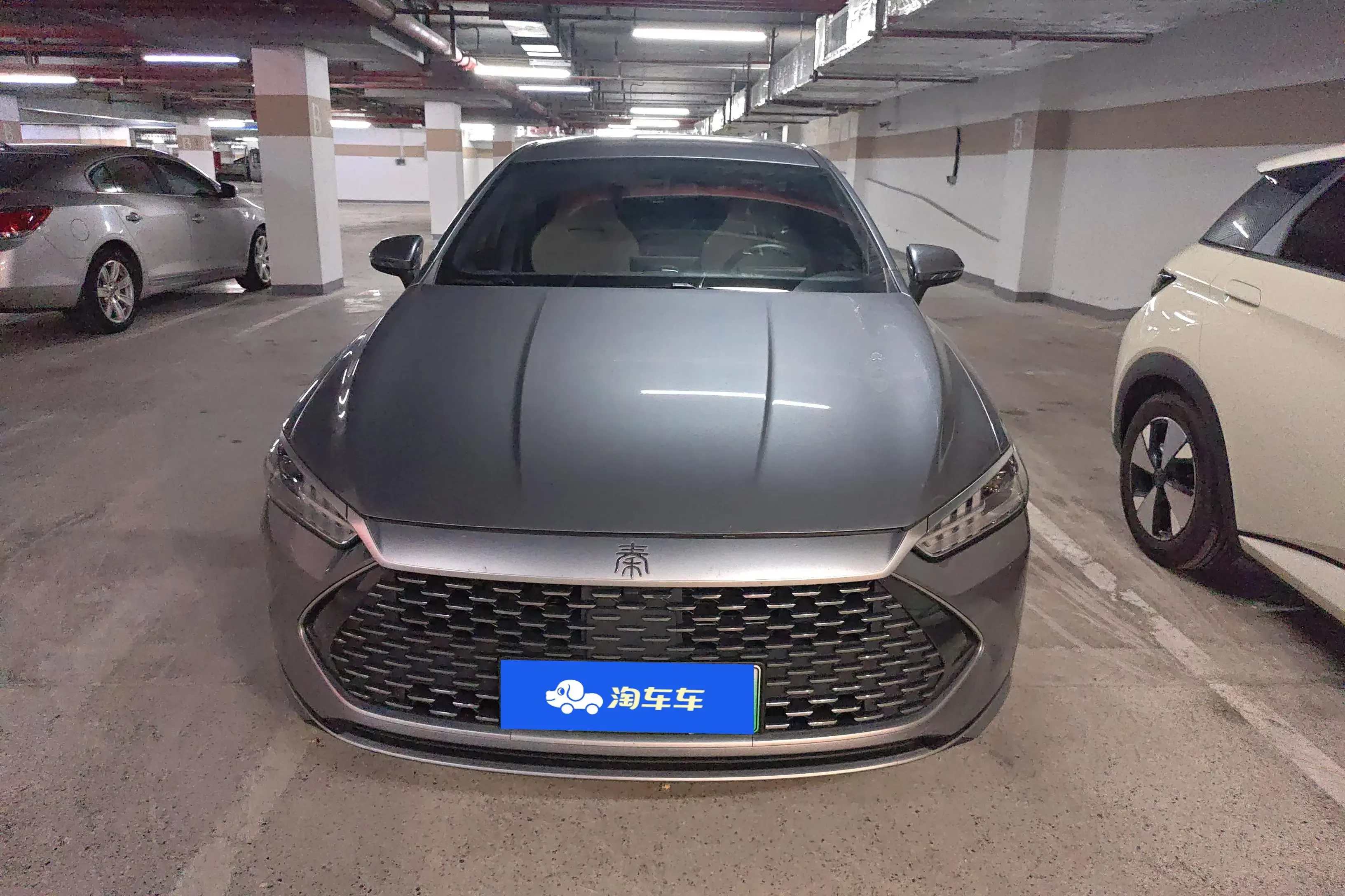 BYD Qin PLUS DM