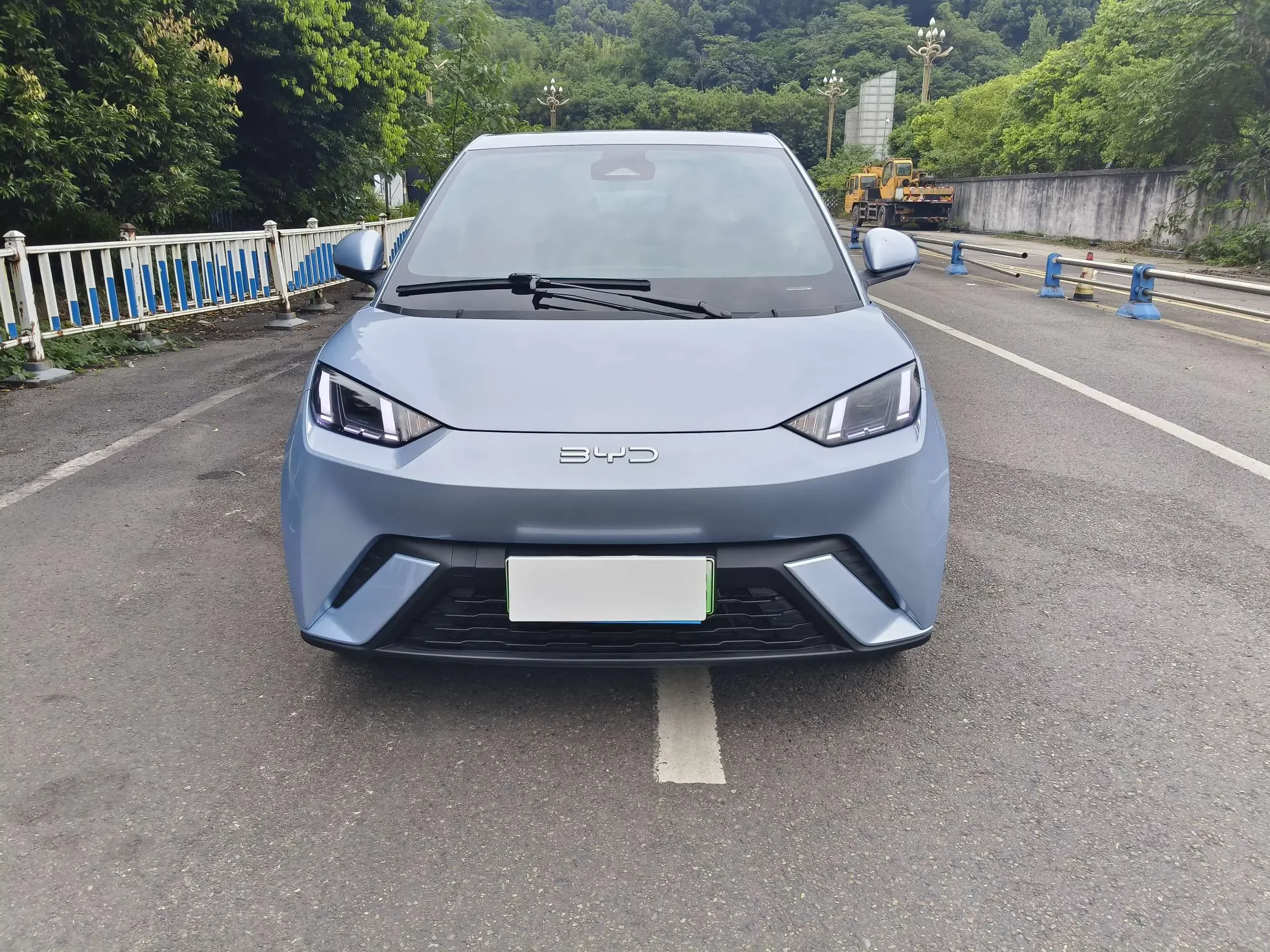 BYD seagull