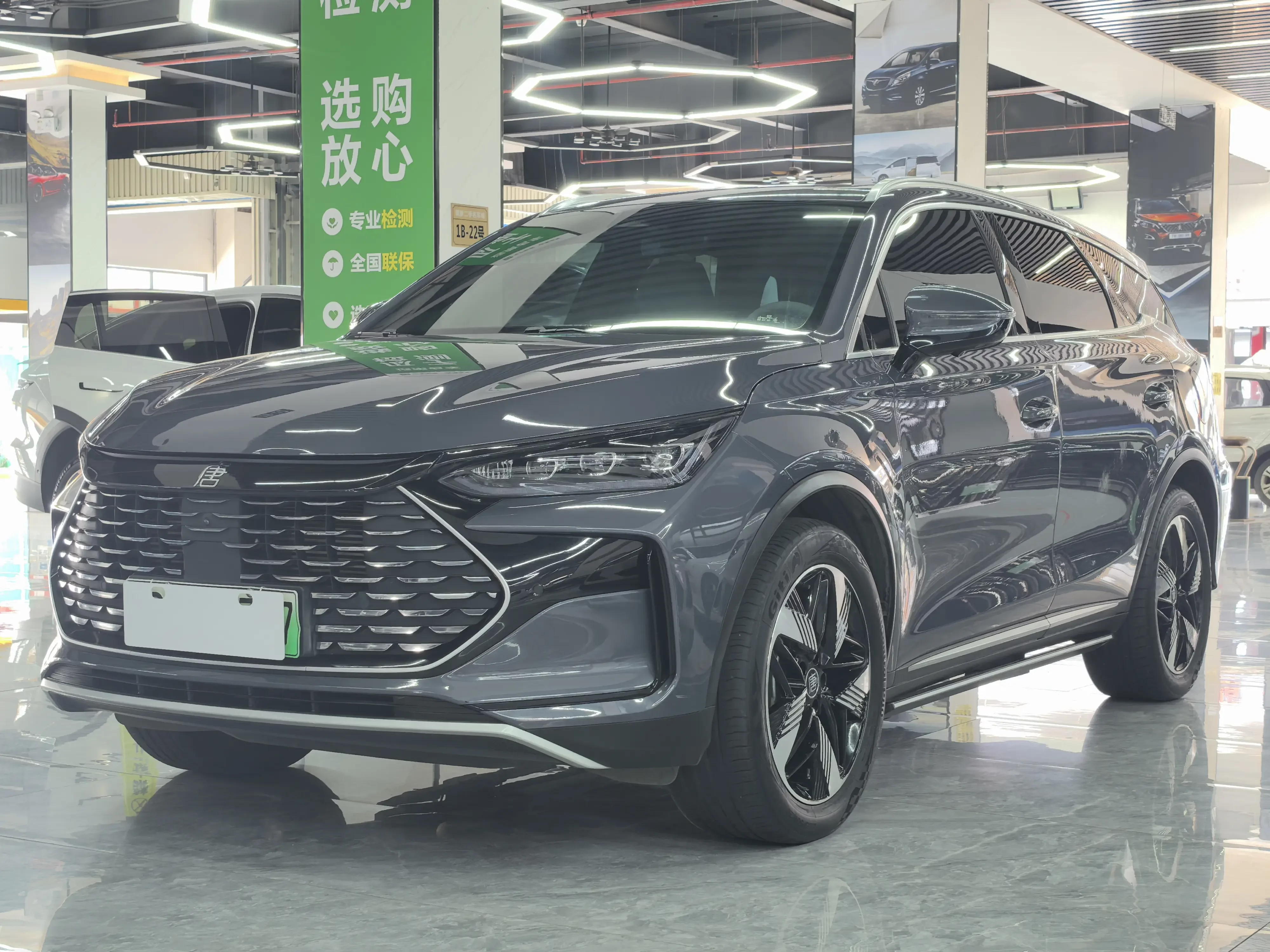 BYD Tang DM
