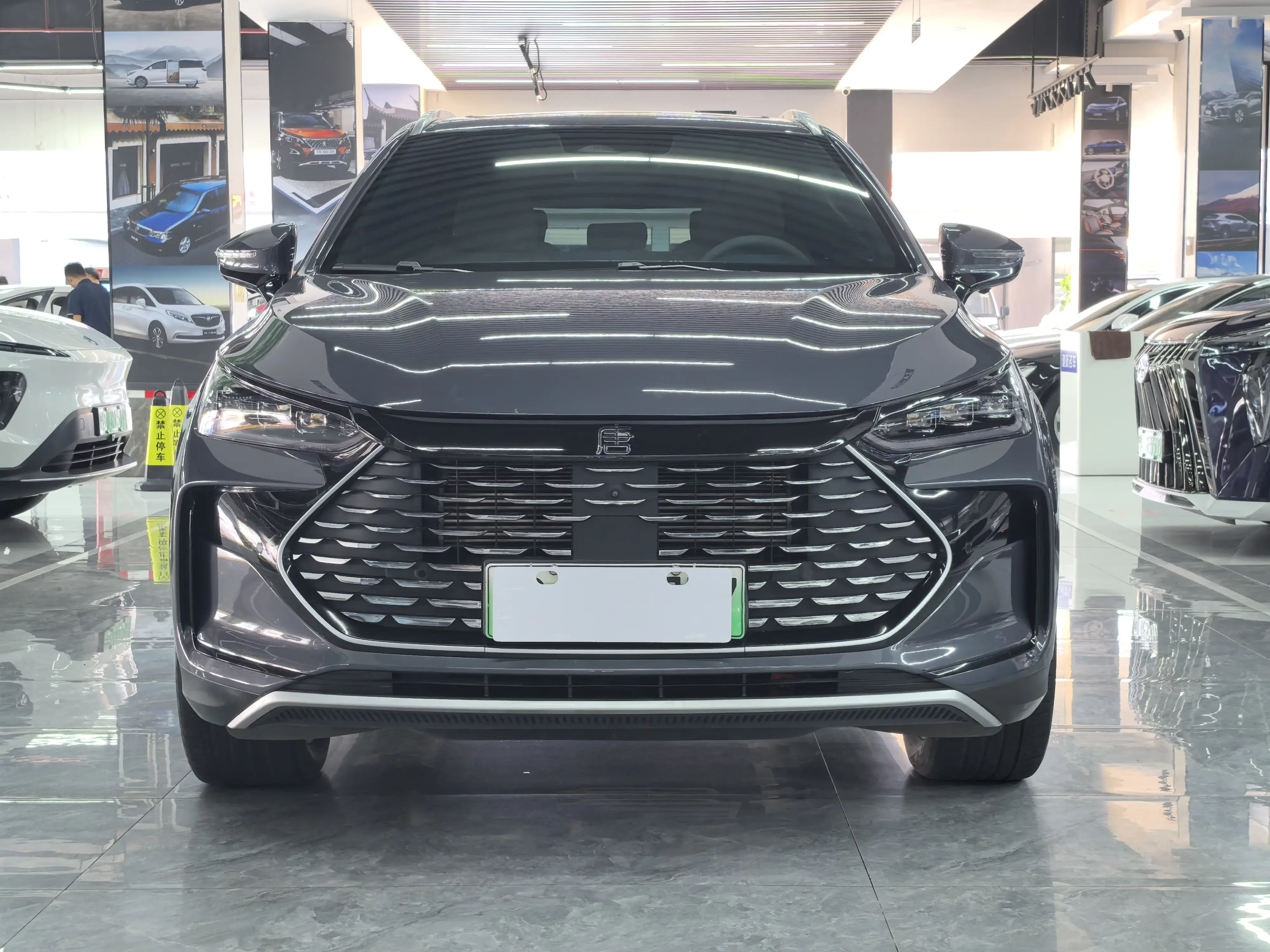 BYD Tang DM