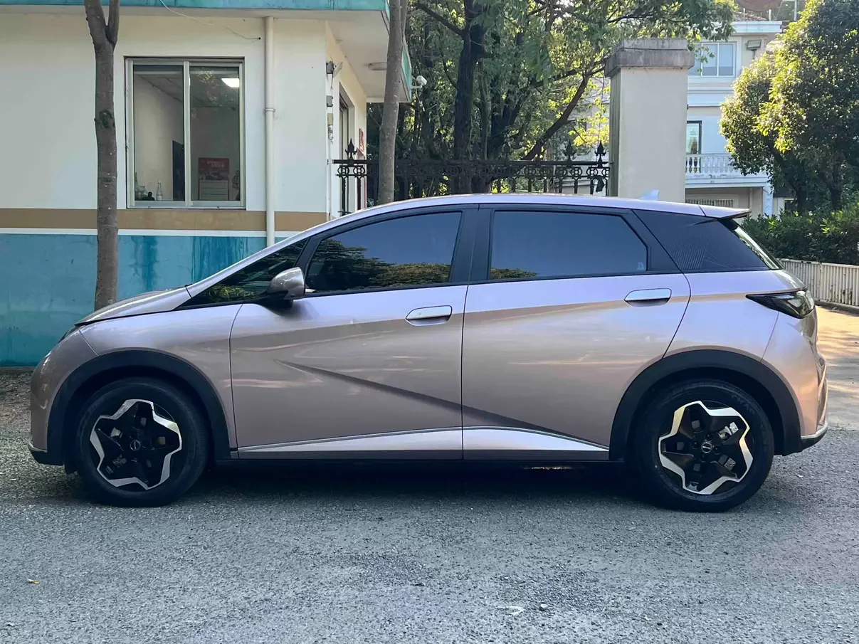 BYD dolphin