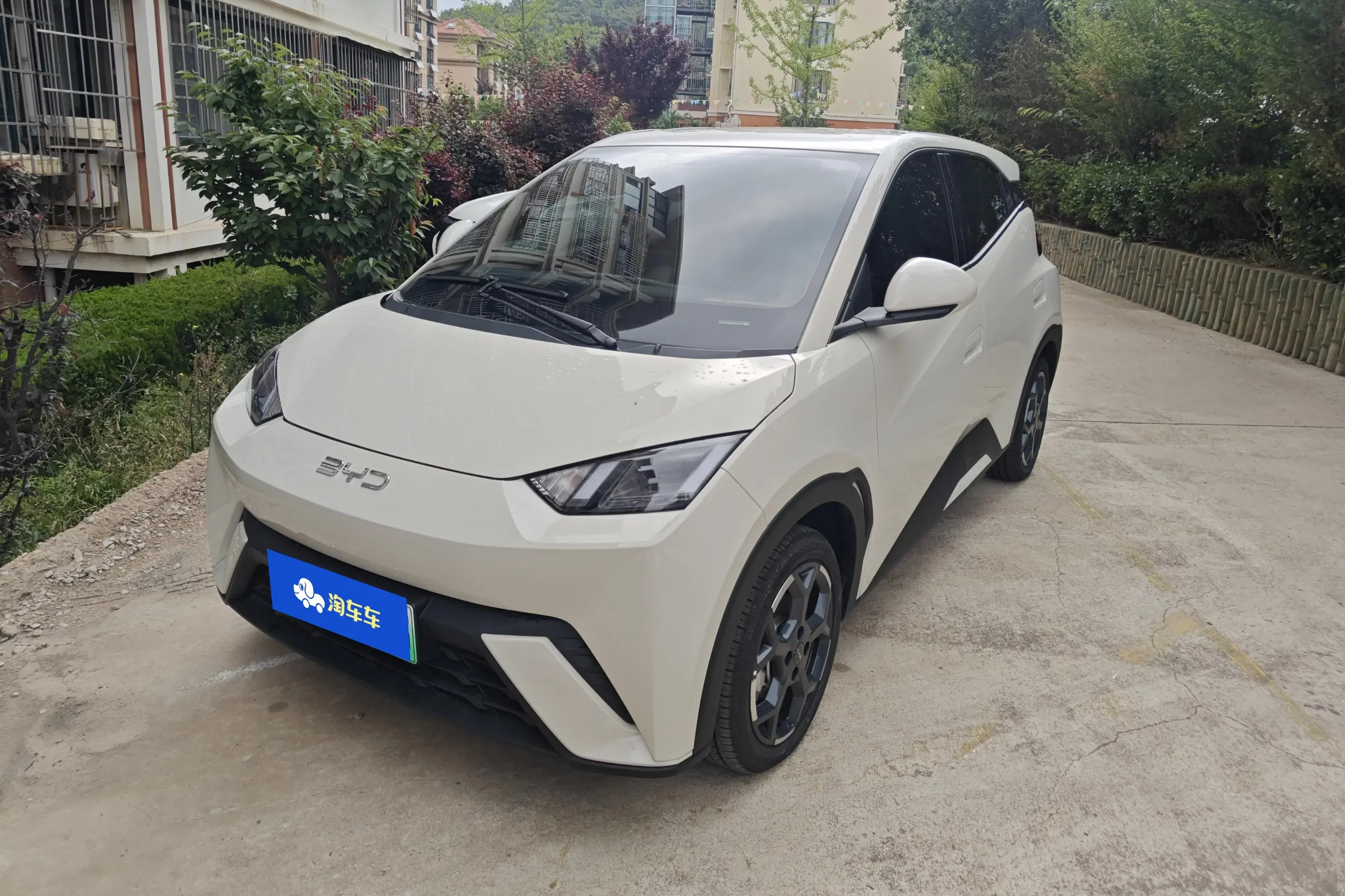 BYD seagull