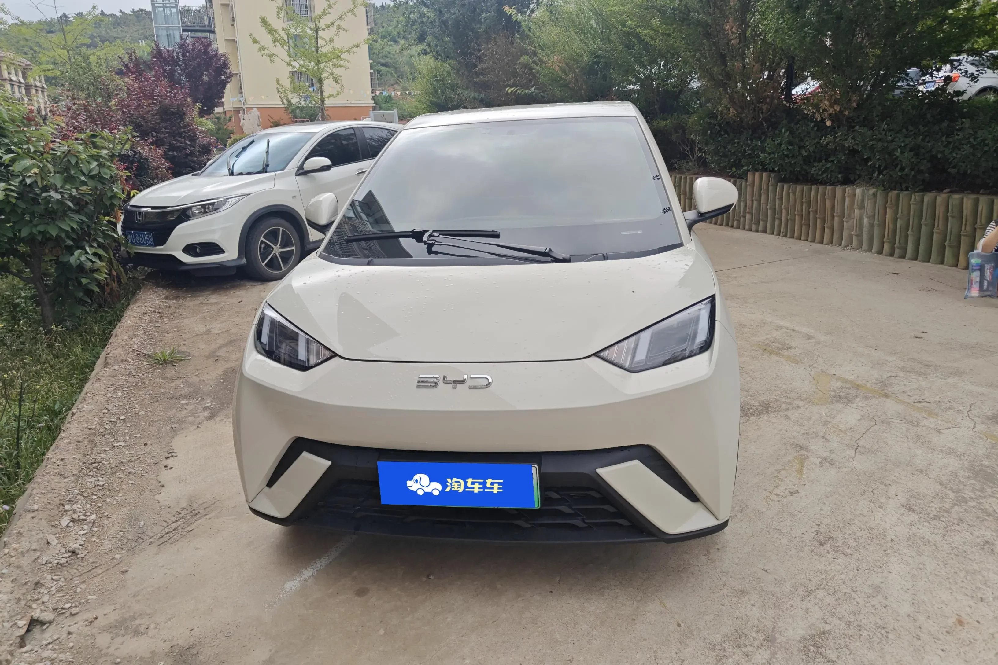 BYD seagull