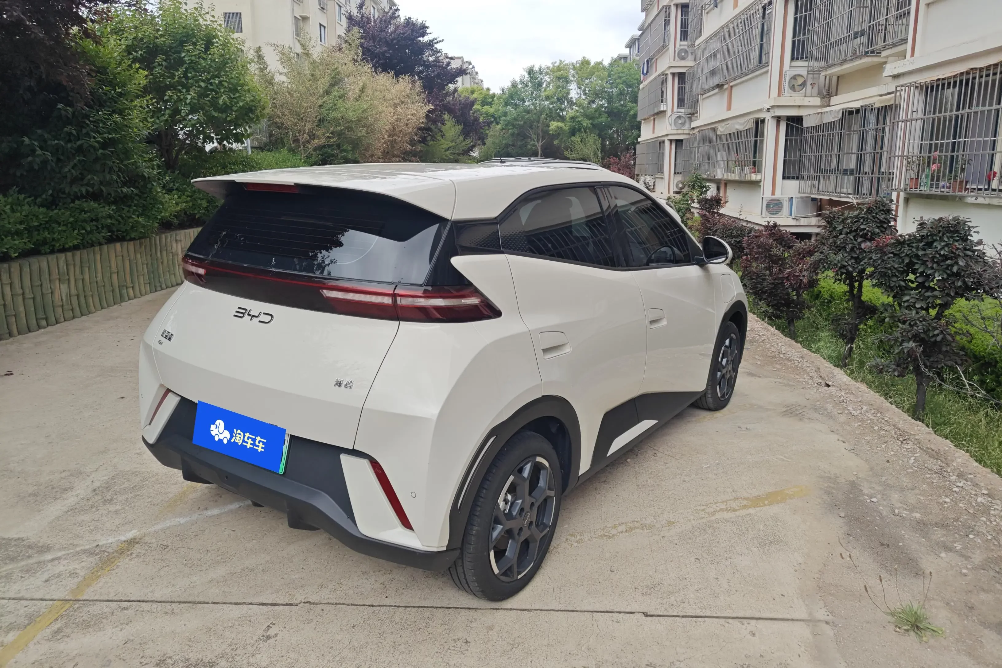 BYD seagull