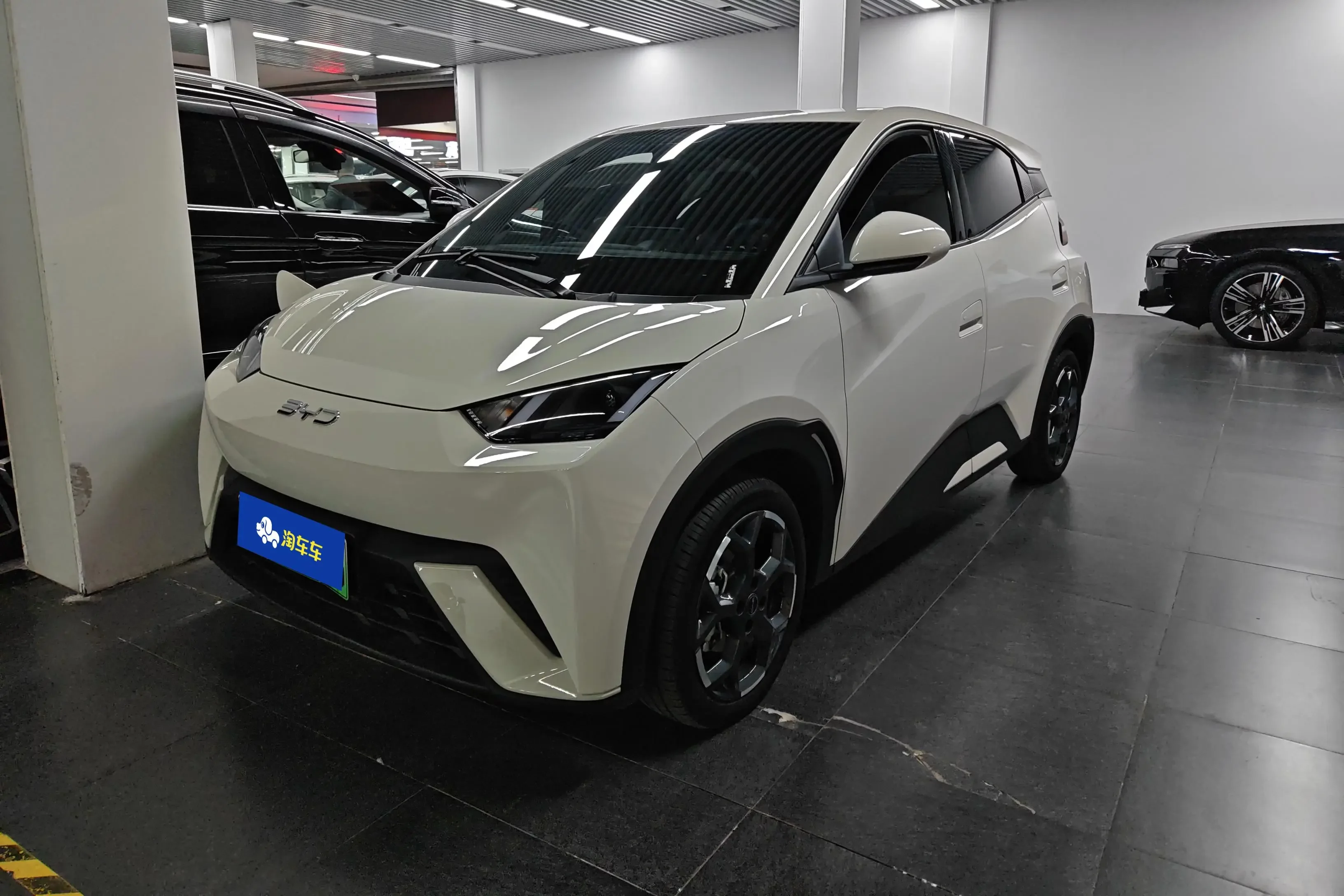 BYD seagull