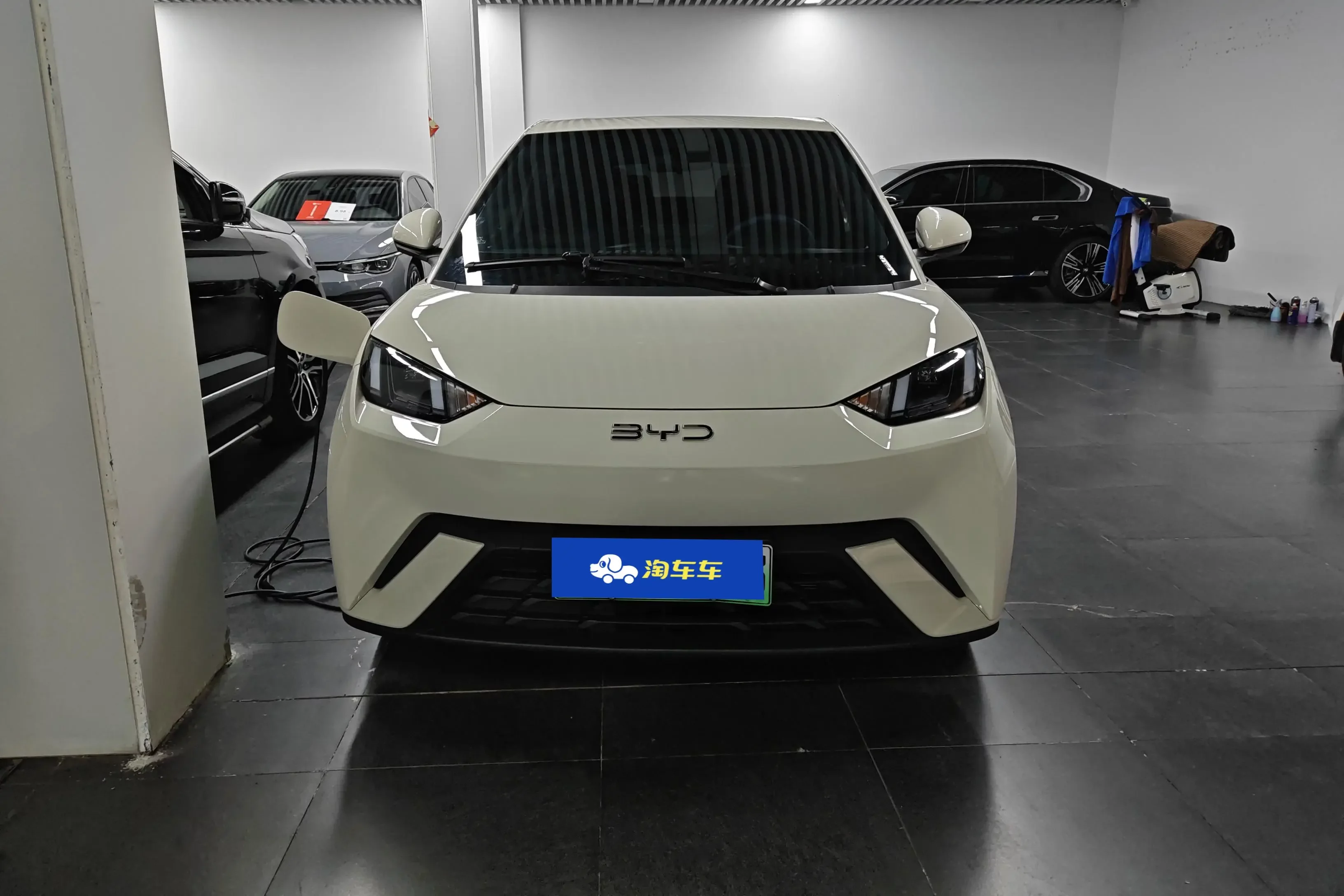 BYD seagull