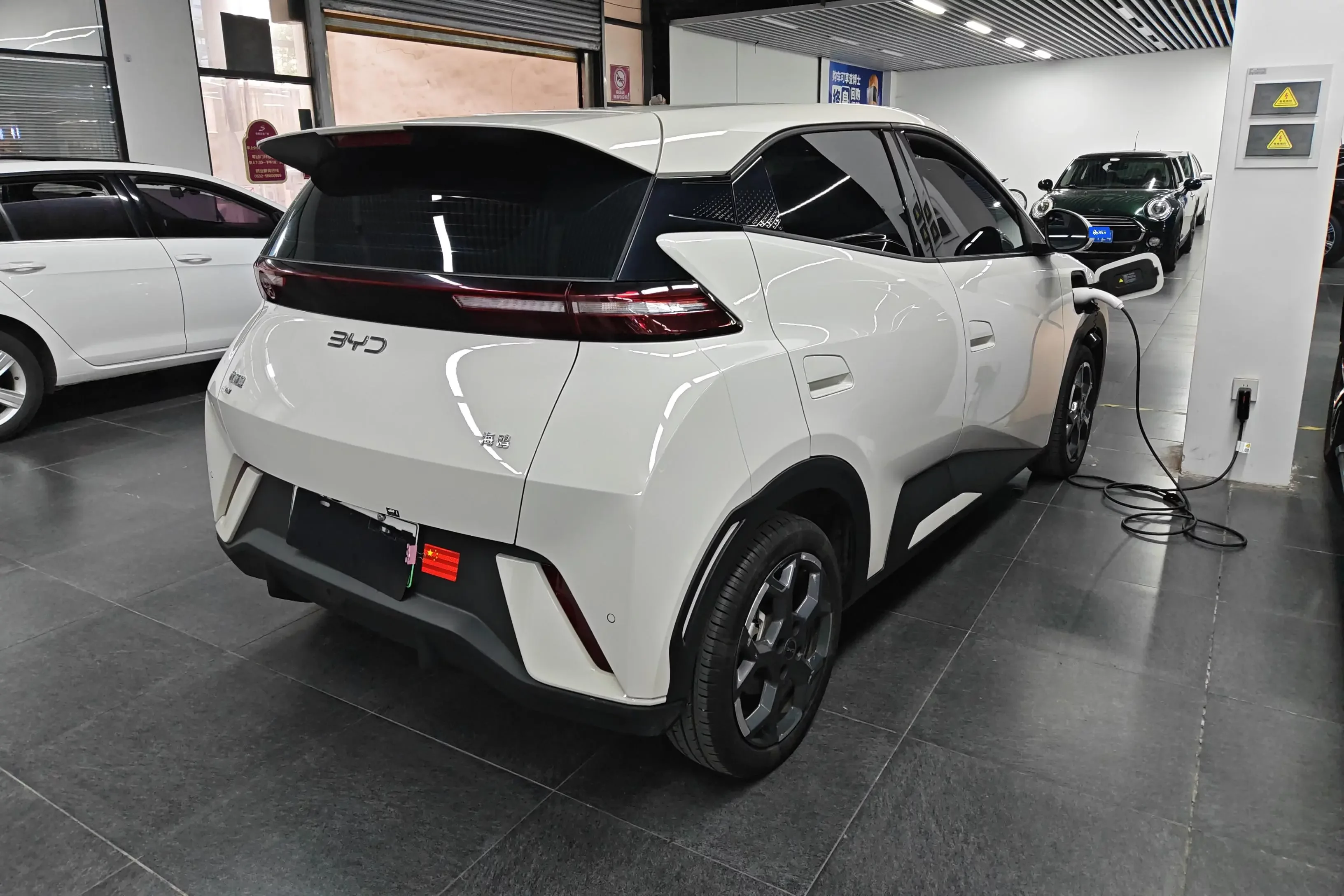 BYD seagull