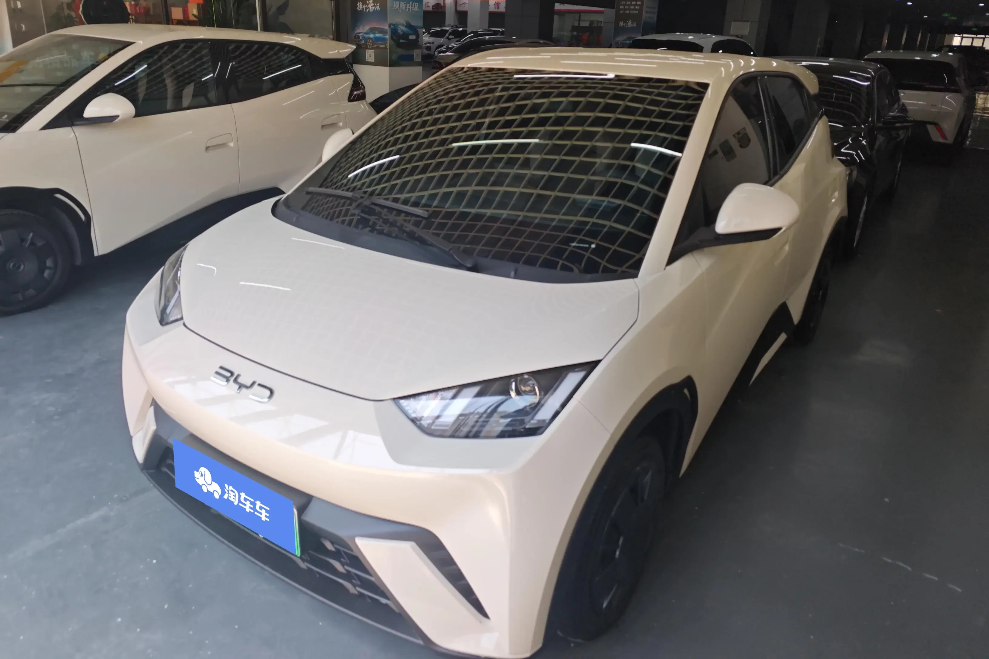 BYD seagull