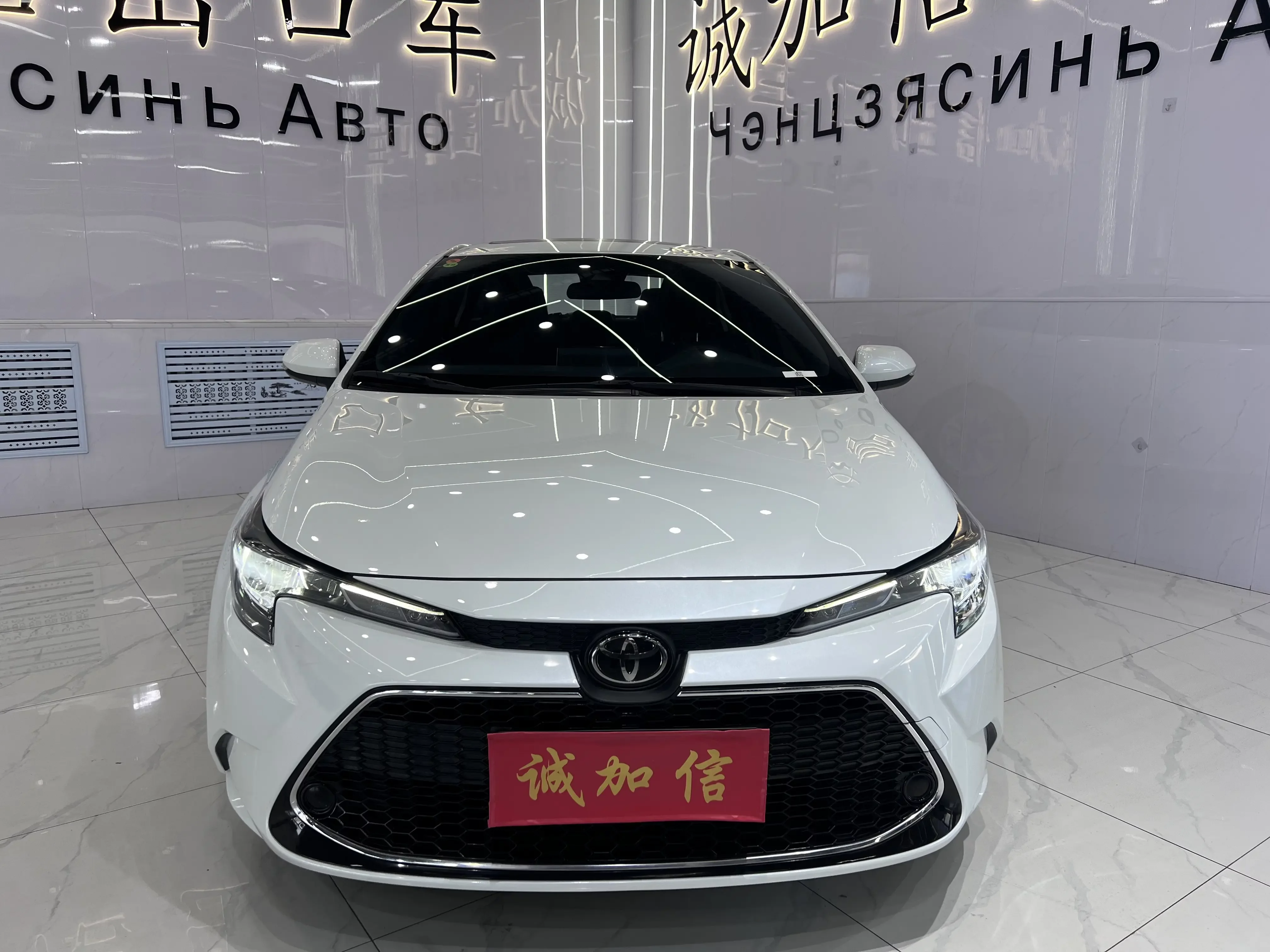 Toyota Levin